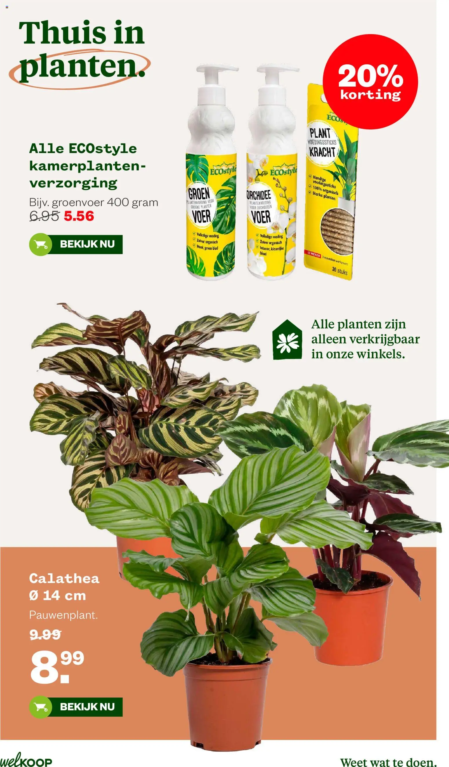 Welkoop folder Folder in Nederland