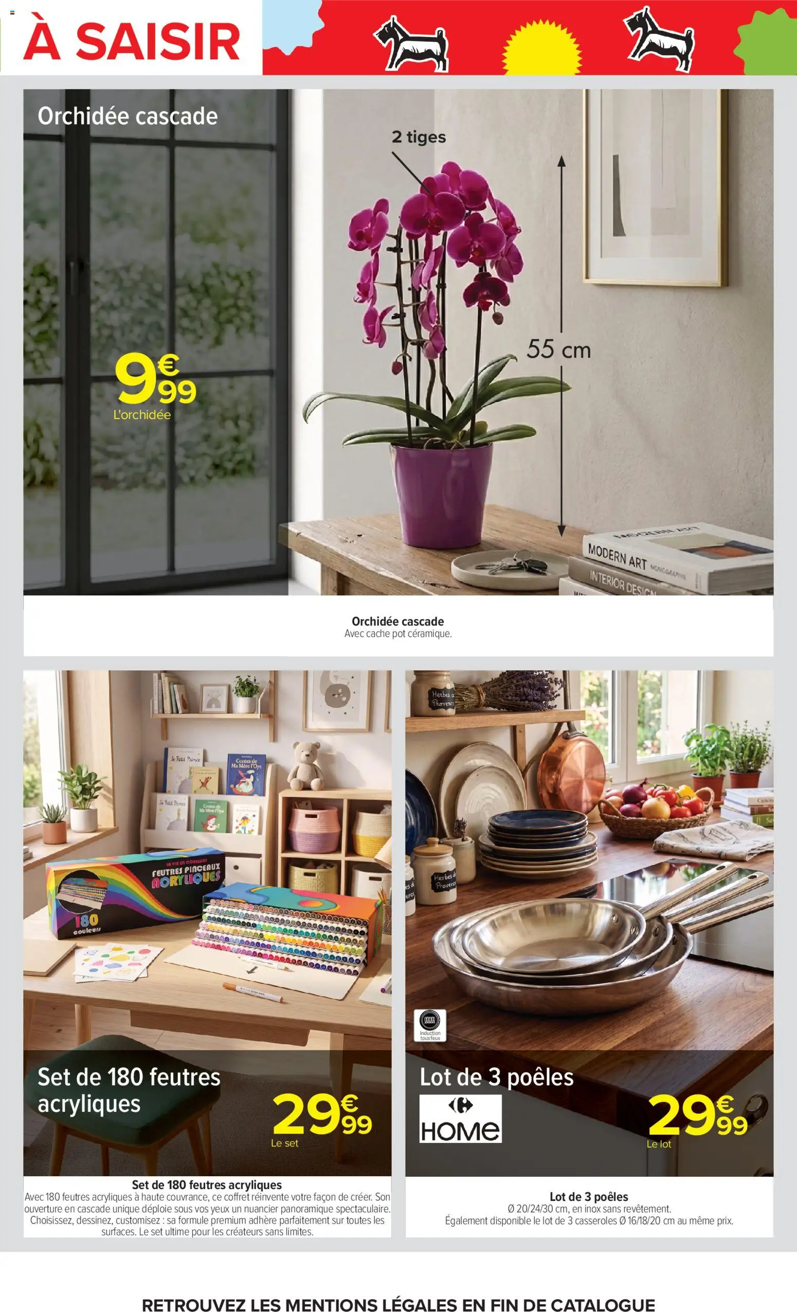 Carrefour catalogue Catalogue in France