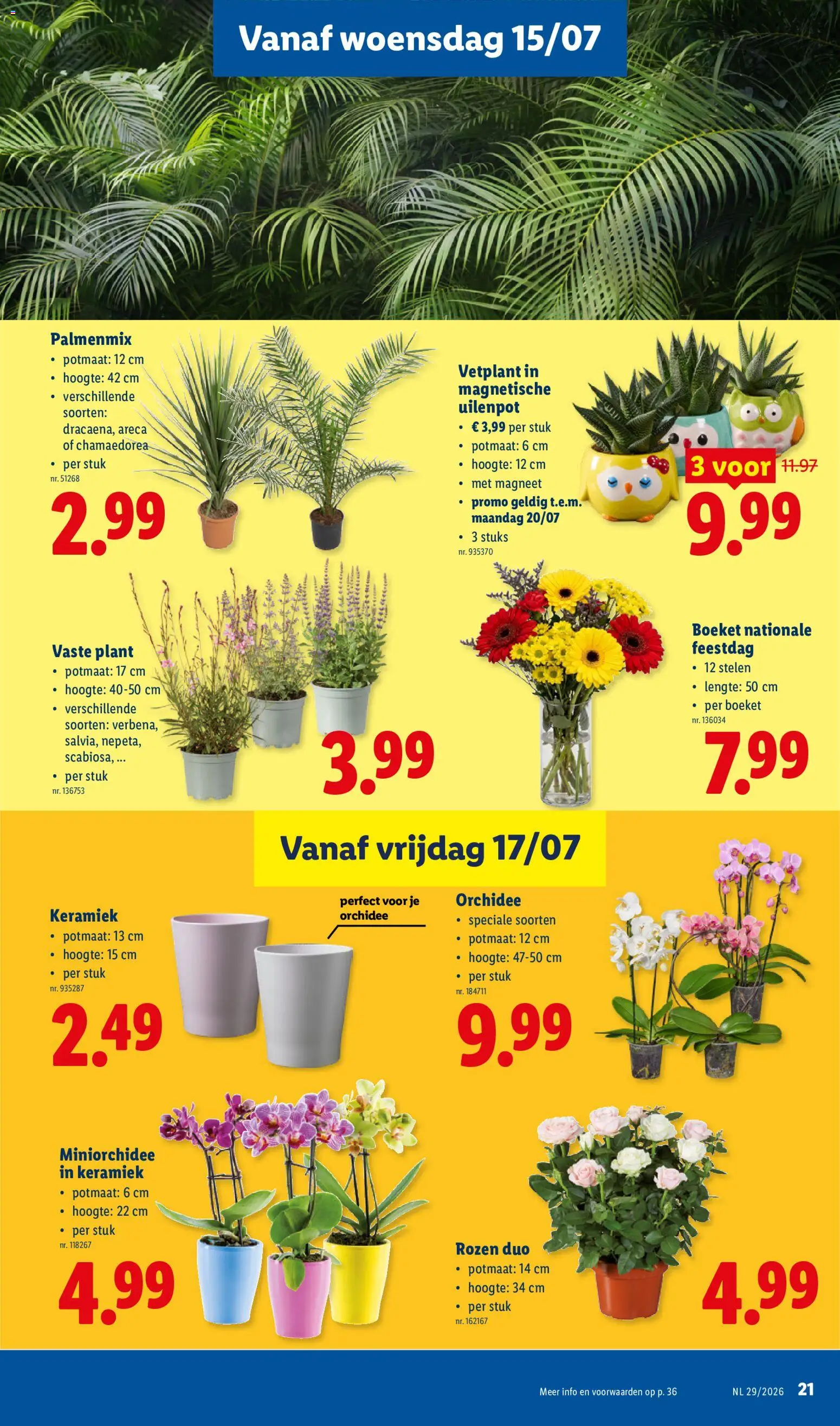 Nieuwe » Lidl folder van 13/07/2026 🤩  « is er! Ontdek geweldige aanbiedingen en bespaar. | België