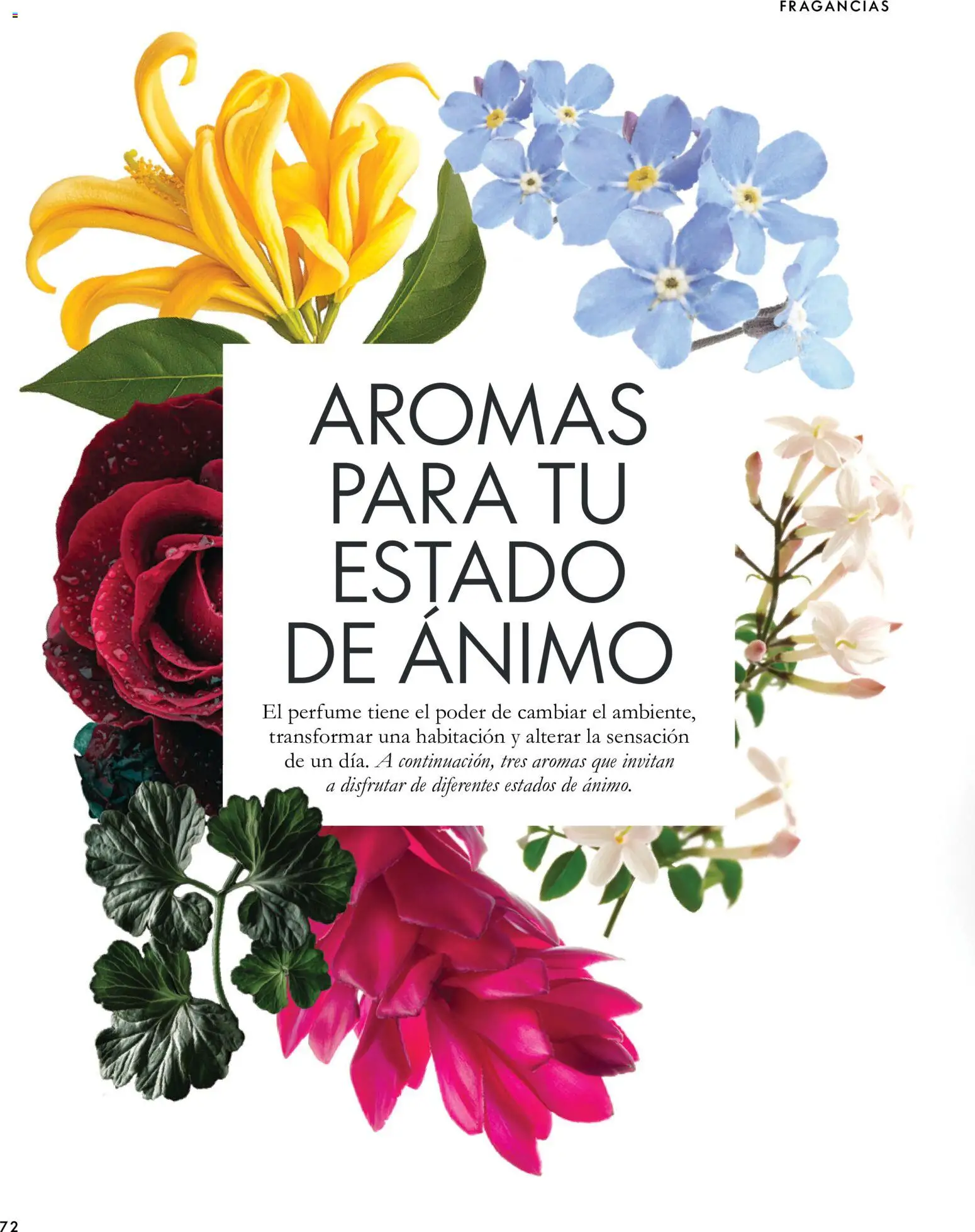 Oriflame - Catálogo Campaña 14 Folleto in España
