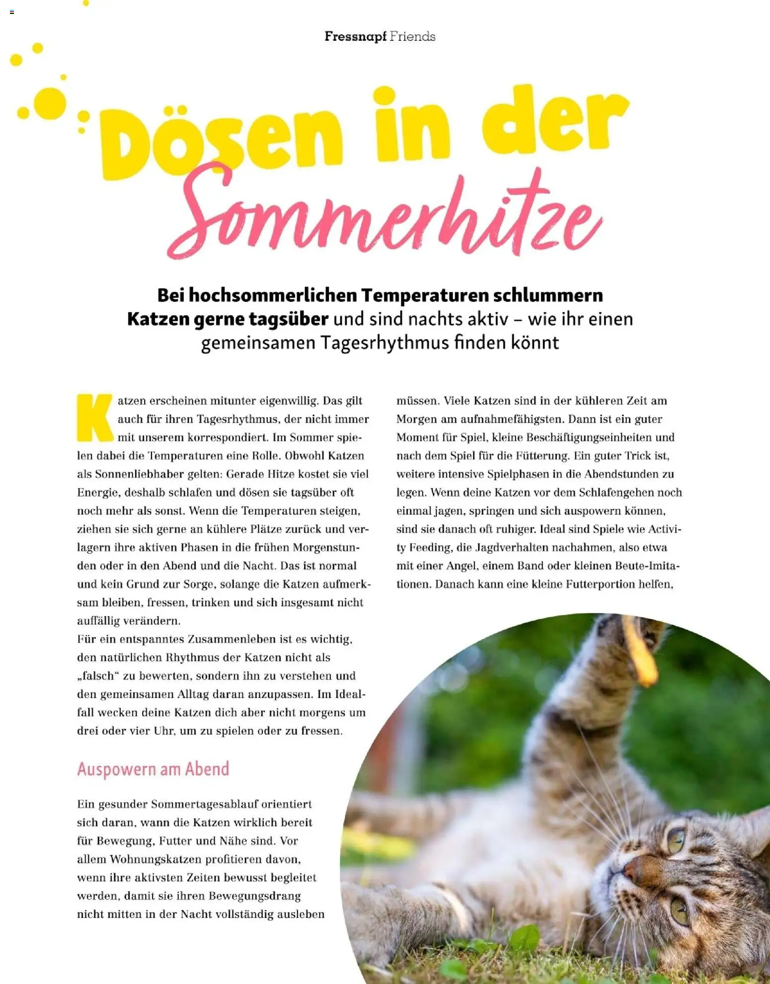 Die besten Angebote | Fressnapf Friends 07,08/26 ab 01.07.2026 | - Jetzt stöbern! | Österreich