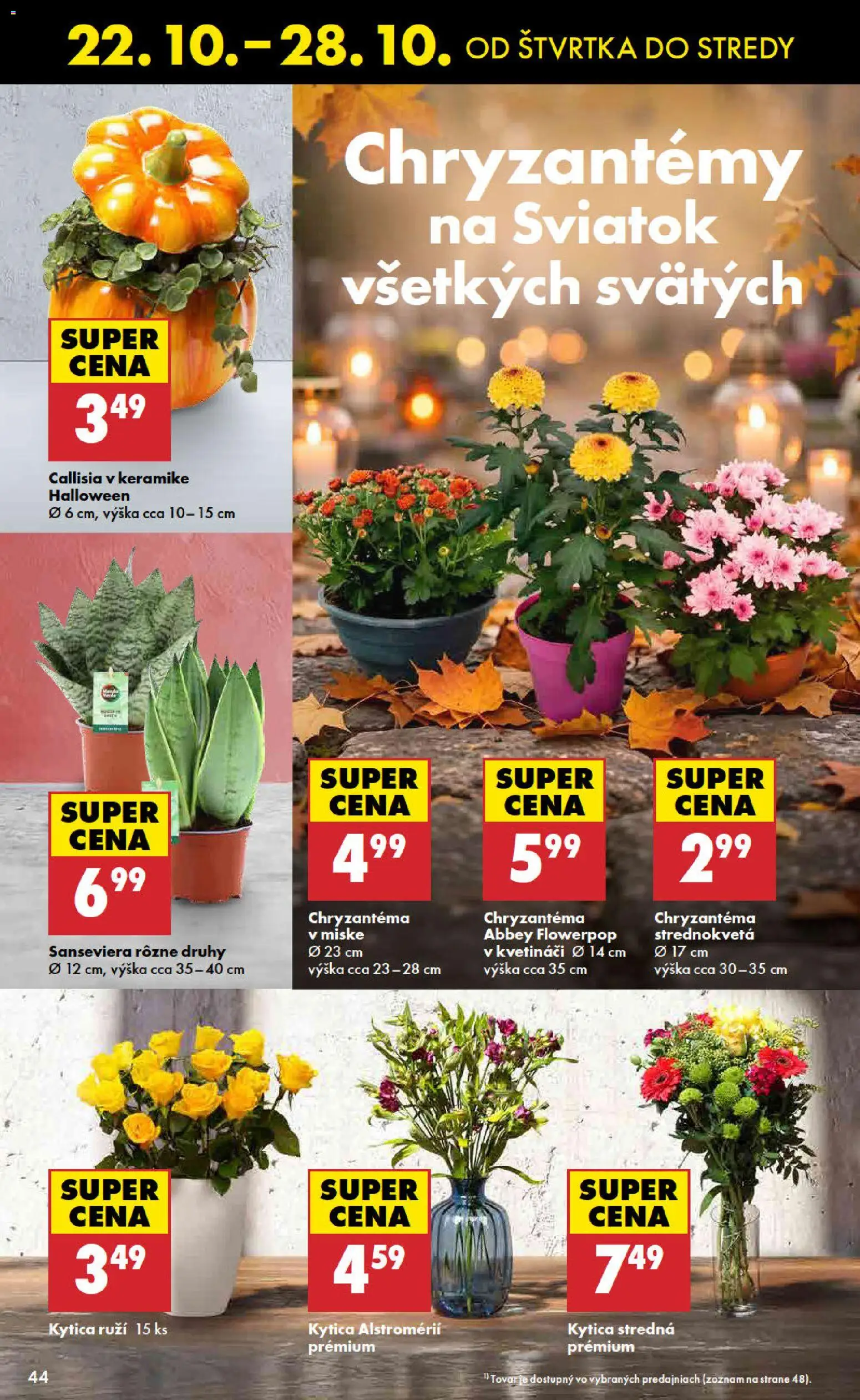 Biedronka leták Leták in Slovensko