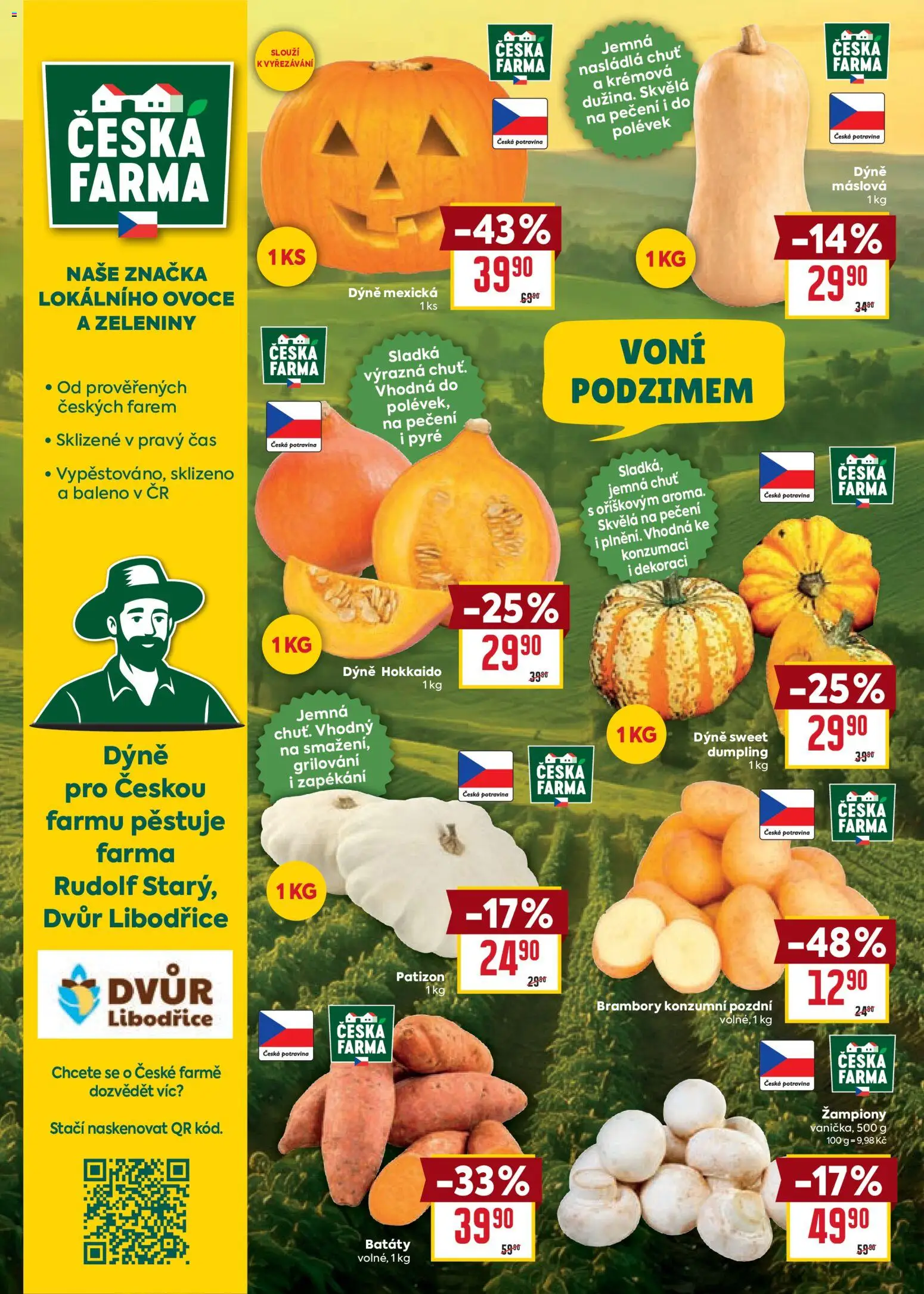 Billa Velký leták Leták in Česko