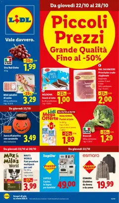 Lidl Lidl volantino