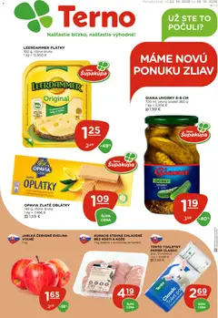 Terno Terno leták