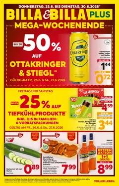 Billa Billa - Flugblatt