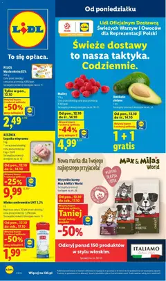 Lidl Lidl gazetka