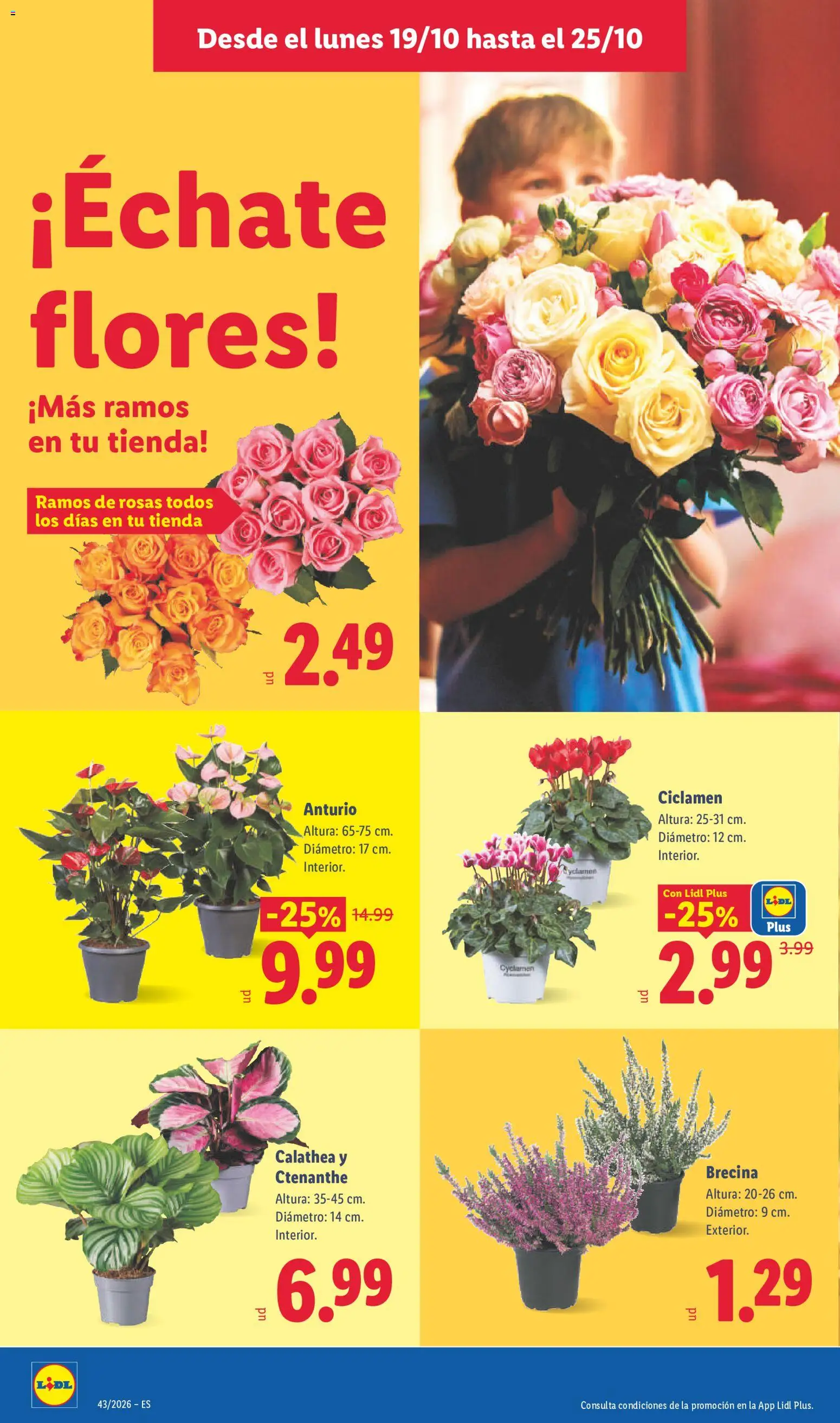 Lidl folleto Folleto in España