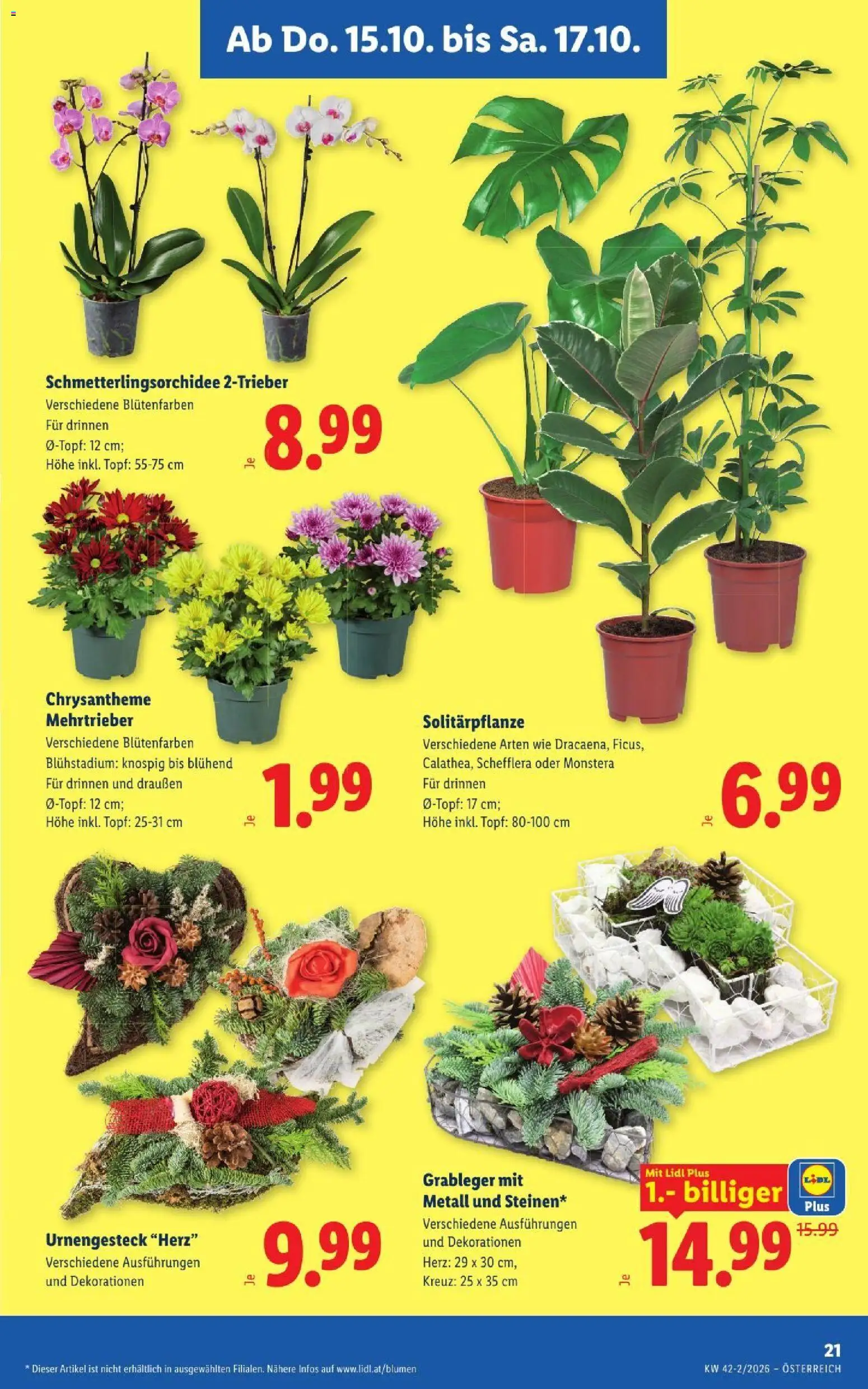 Lidl Flugblatt Flugblatt in Österreich