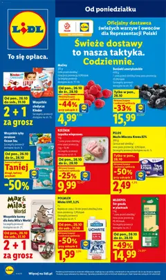 Lidl Polsko Lidl Polsko leták