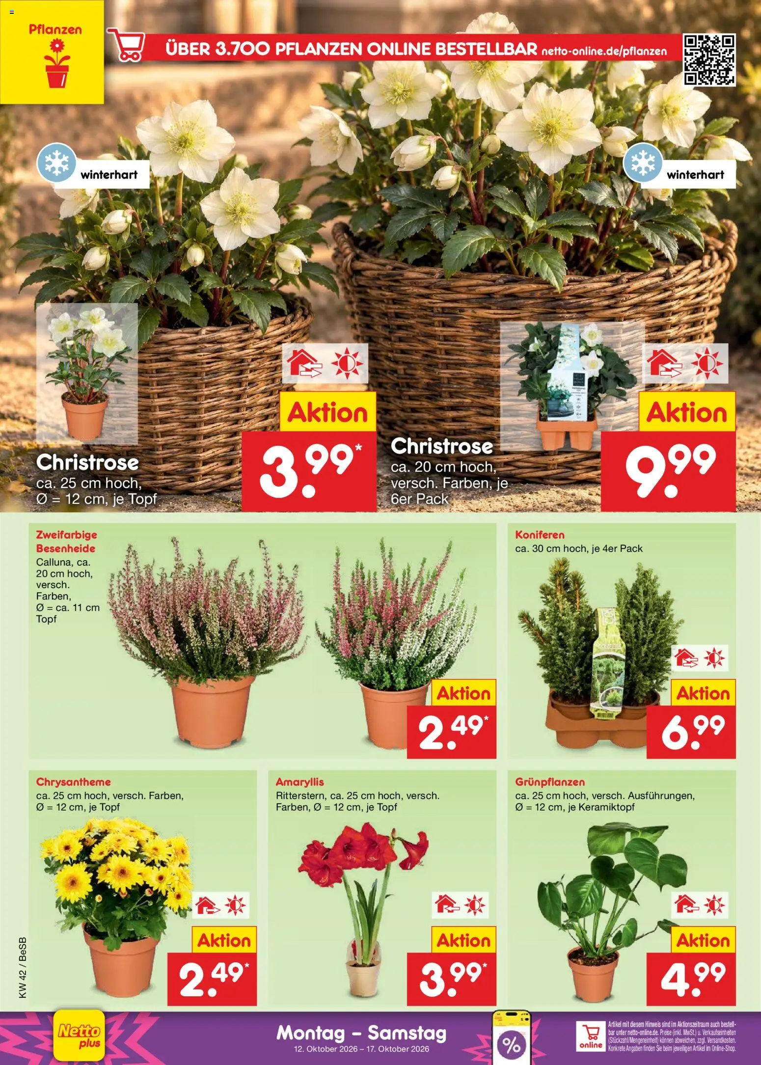 Netto Marken-Discount Prospekt Prospekt in Deutschland