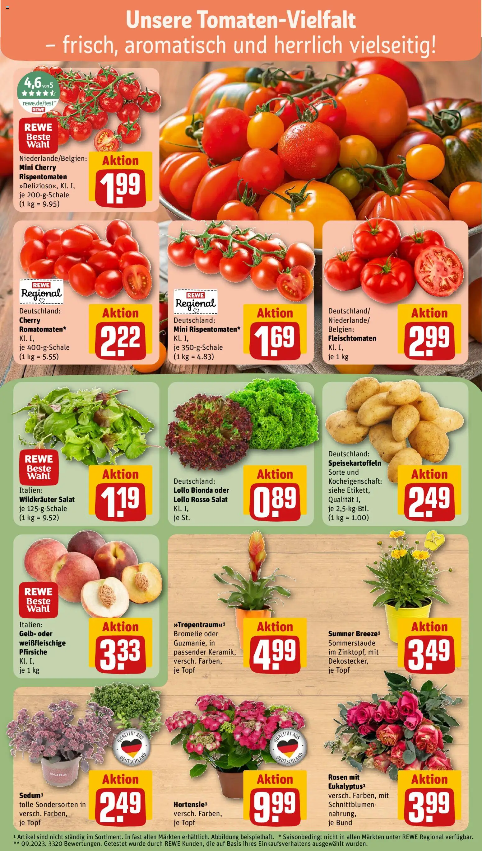 Rewe Prospekt | 13.07.2026 | Wie erhält man einen begrenzten Rabatt? | Deutschland