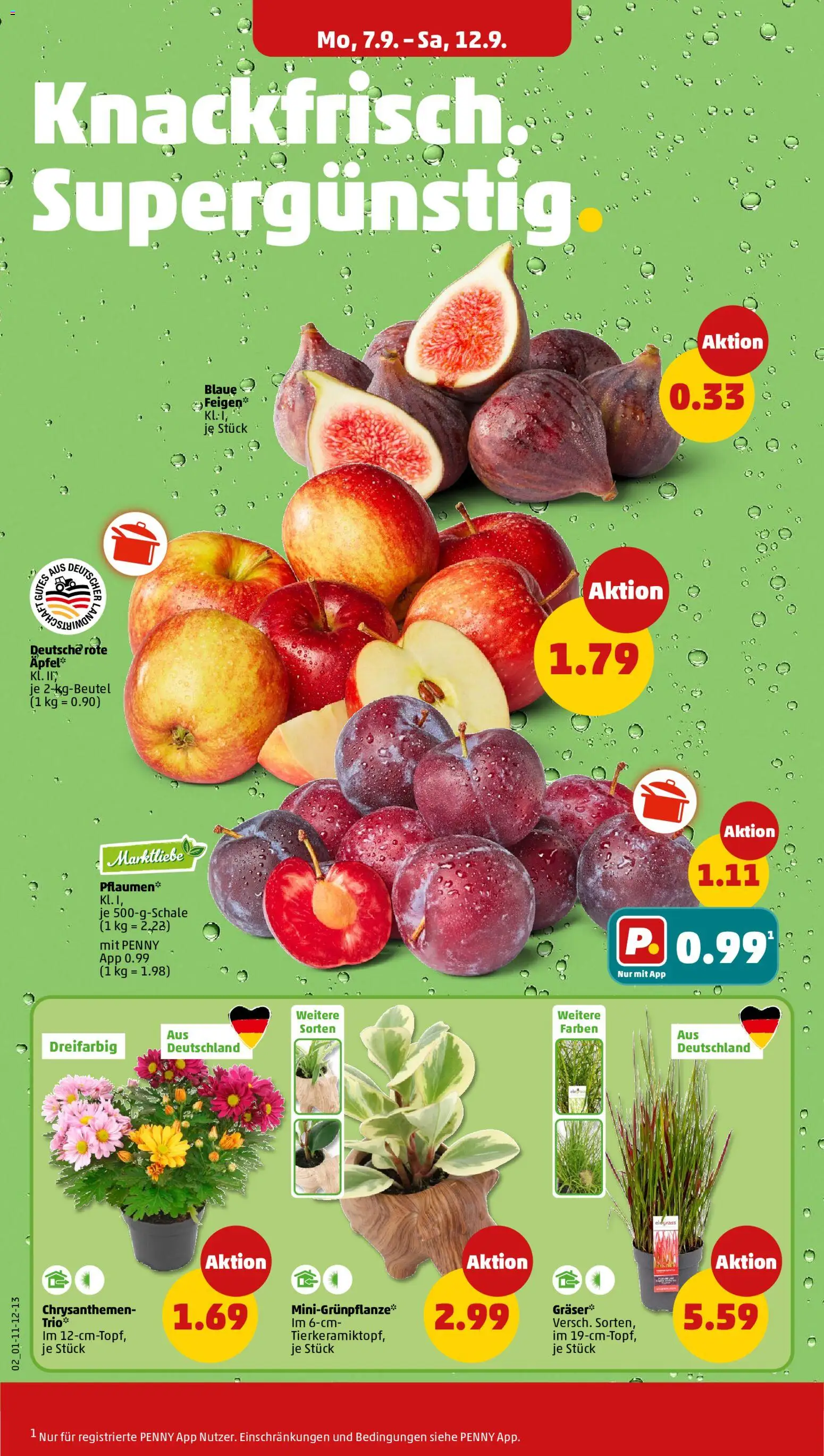 Penny Prospekt Prospekt in Deutschland
