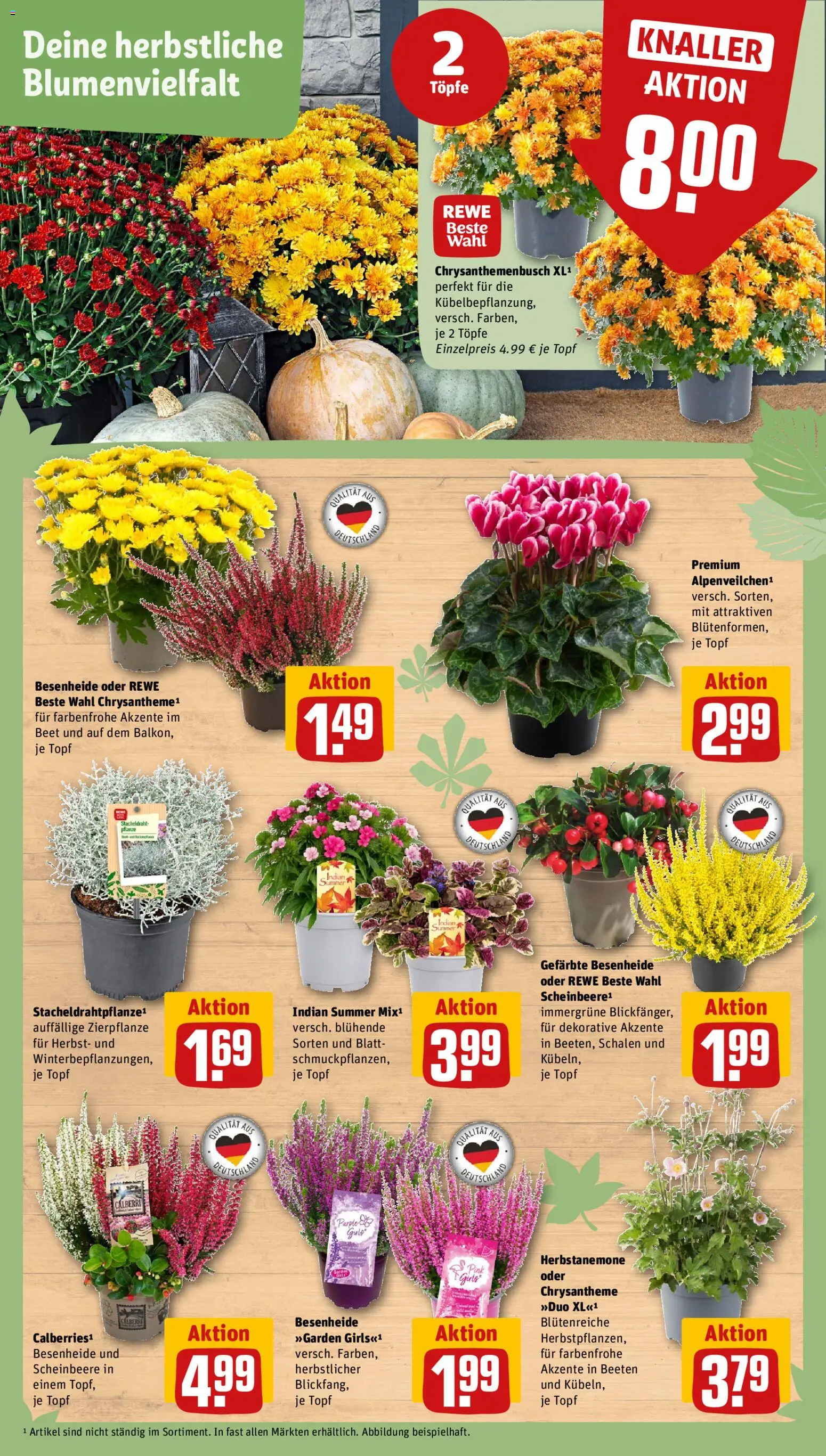 Rewe ihr Kaufpark Prospekt Prospekt in Deutschland