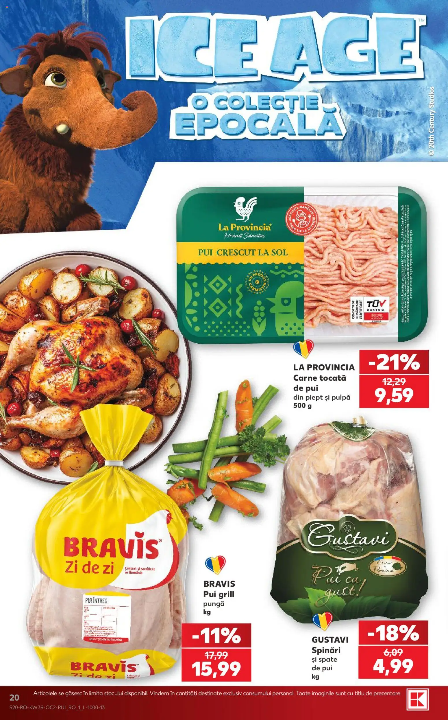 Kaufland Catalog Catalog in România