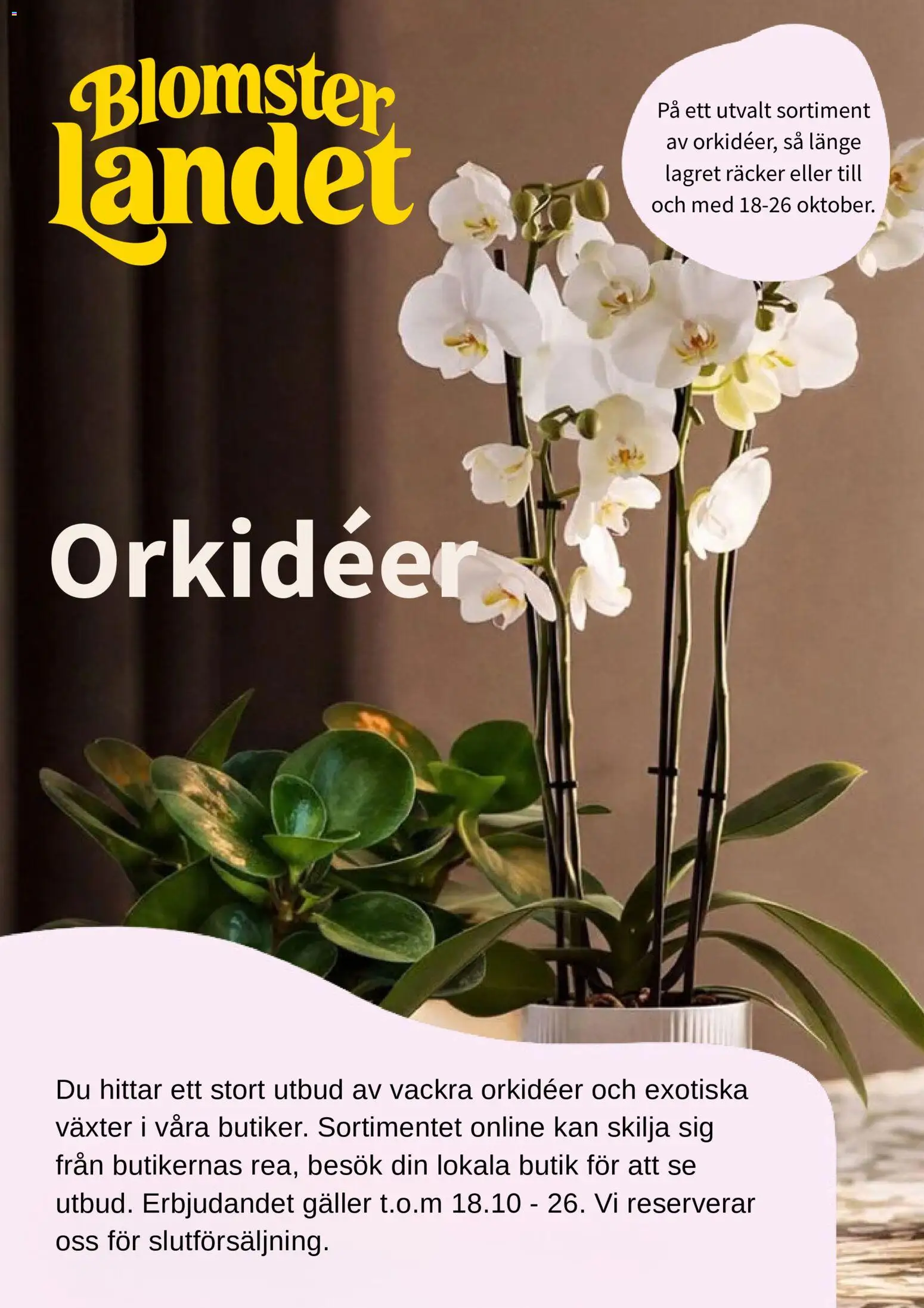 Blomsterlandet erbjudanden Reklamblad in Sverige