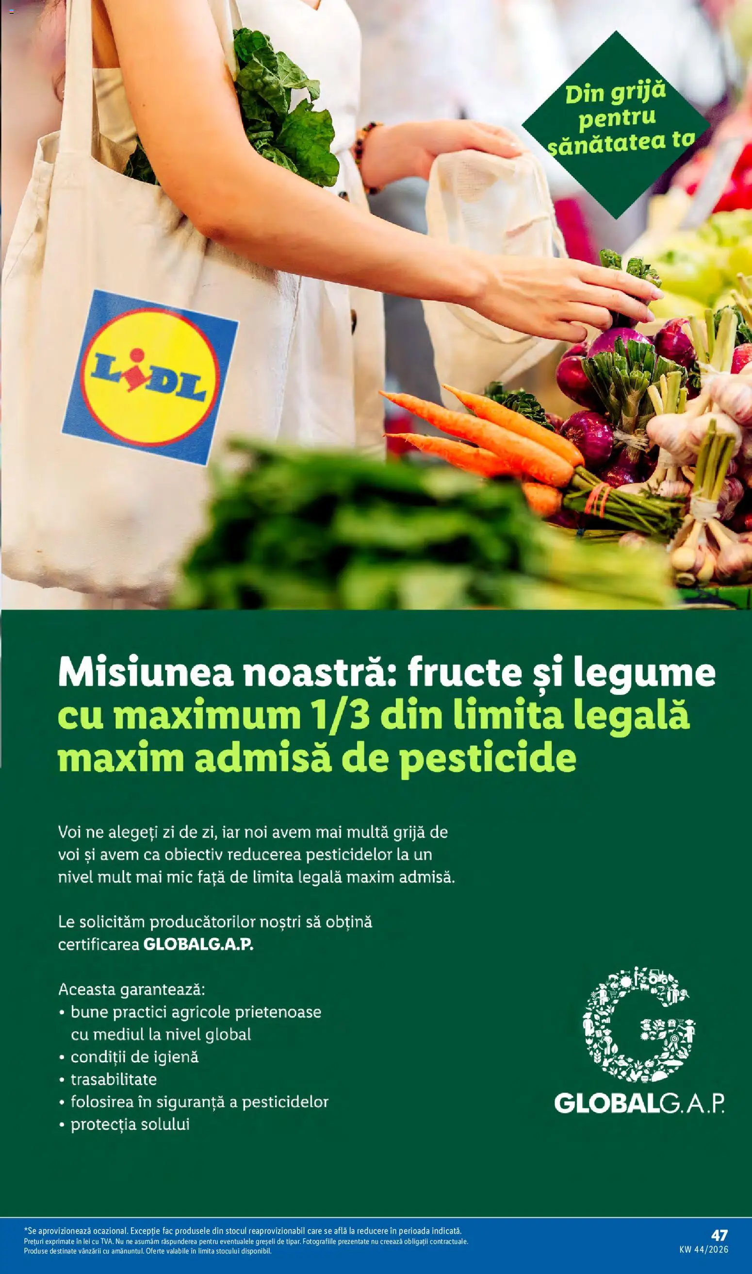 Lidl Catalog Catalog in România