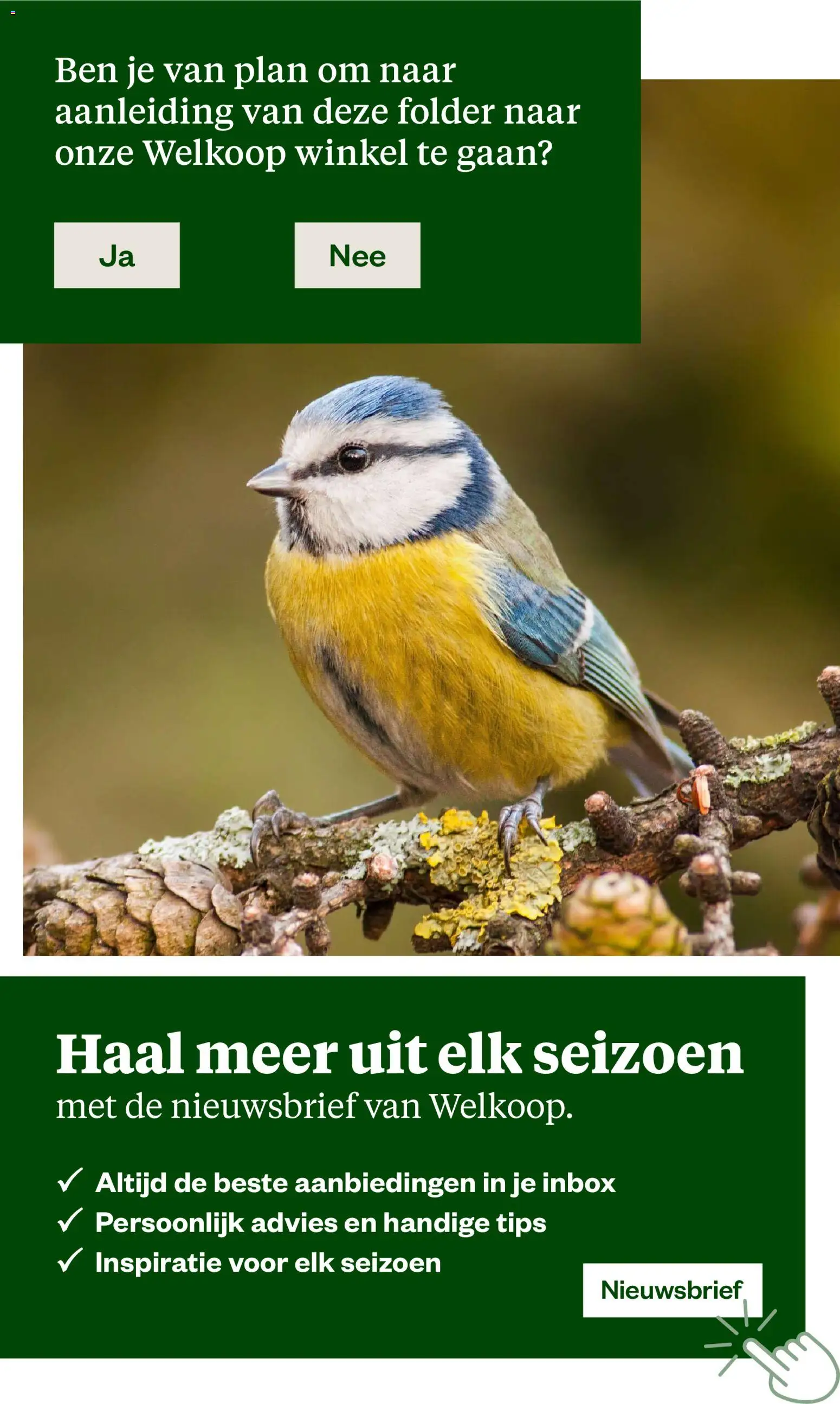 Welkoop folder Folder in Nederland