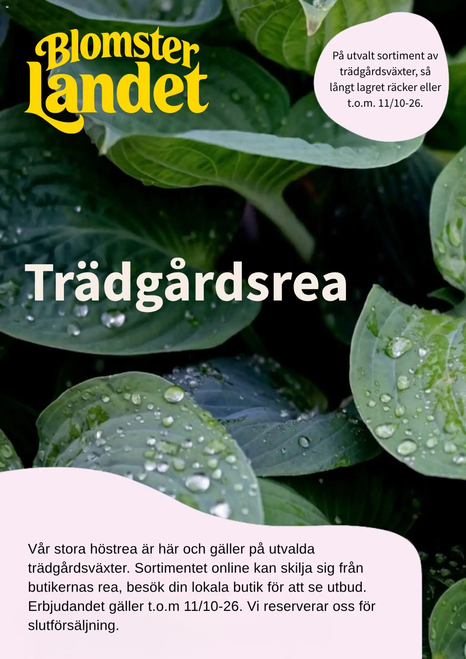 Blomsterlandet erbjudanden Reklamblad in Sverige