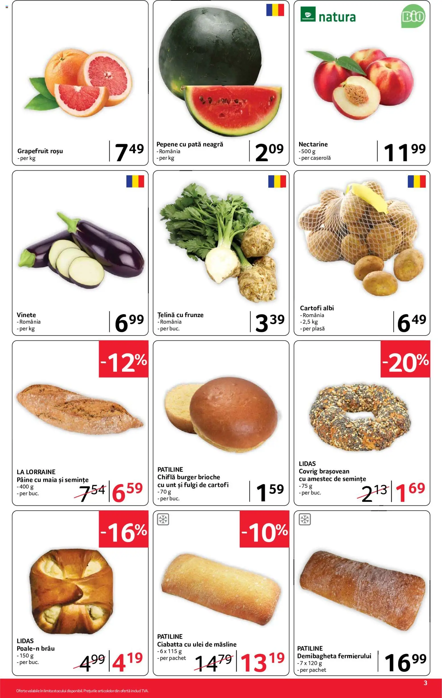 🛍️ Selgros Catalog din 10.07.2026 » Descoperiți oferte exclusive și economisiți chiar azi! 💰 | România