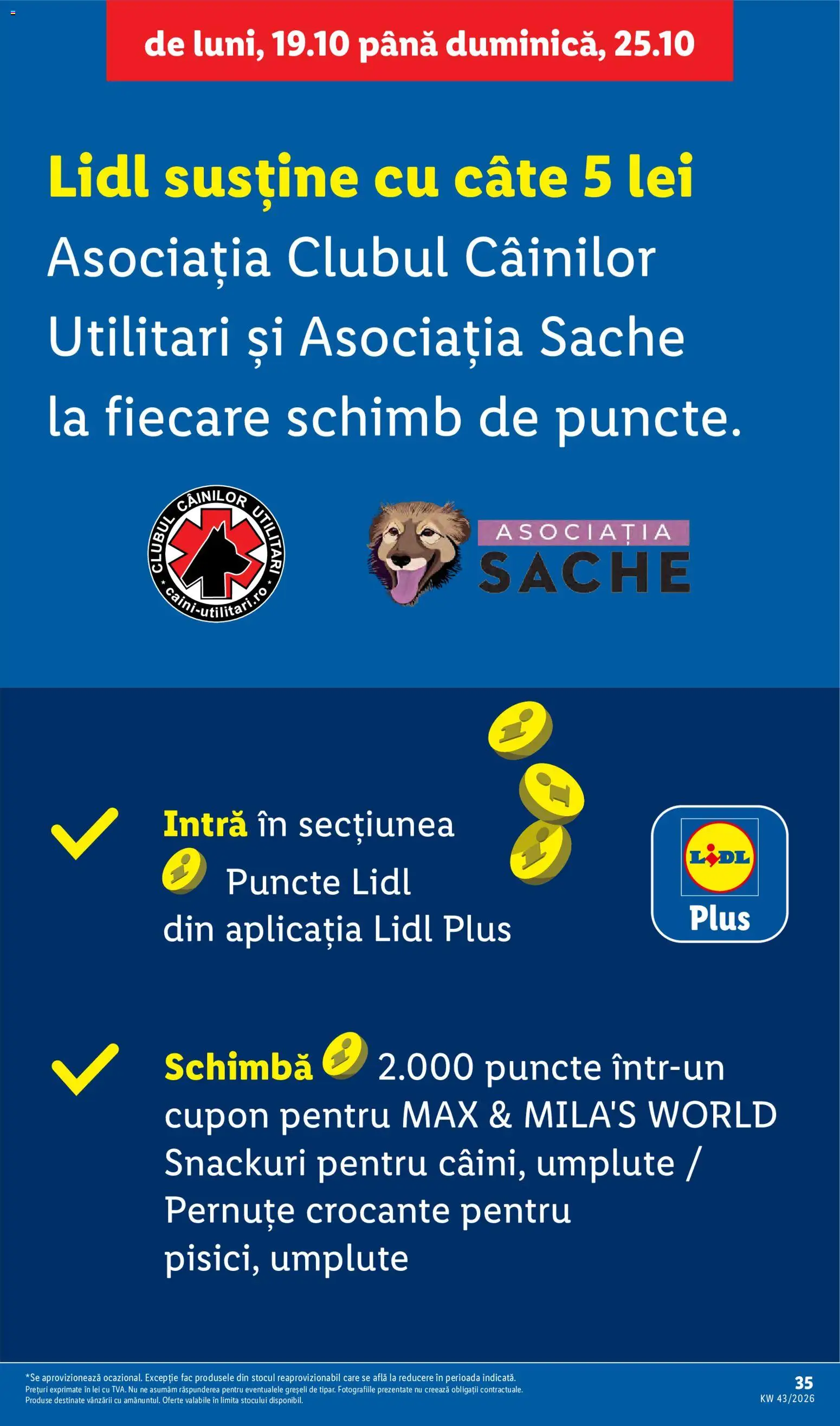Lidl Catalog Catalog in România