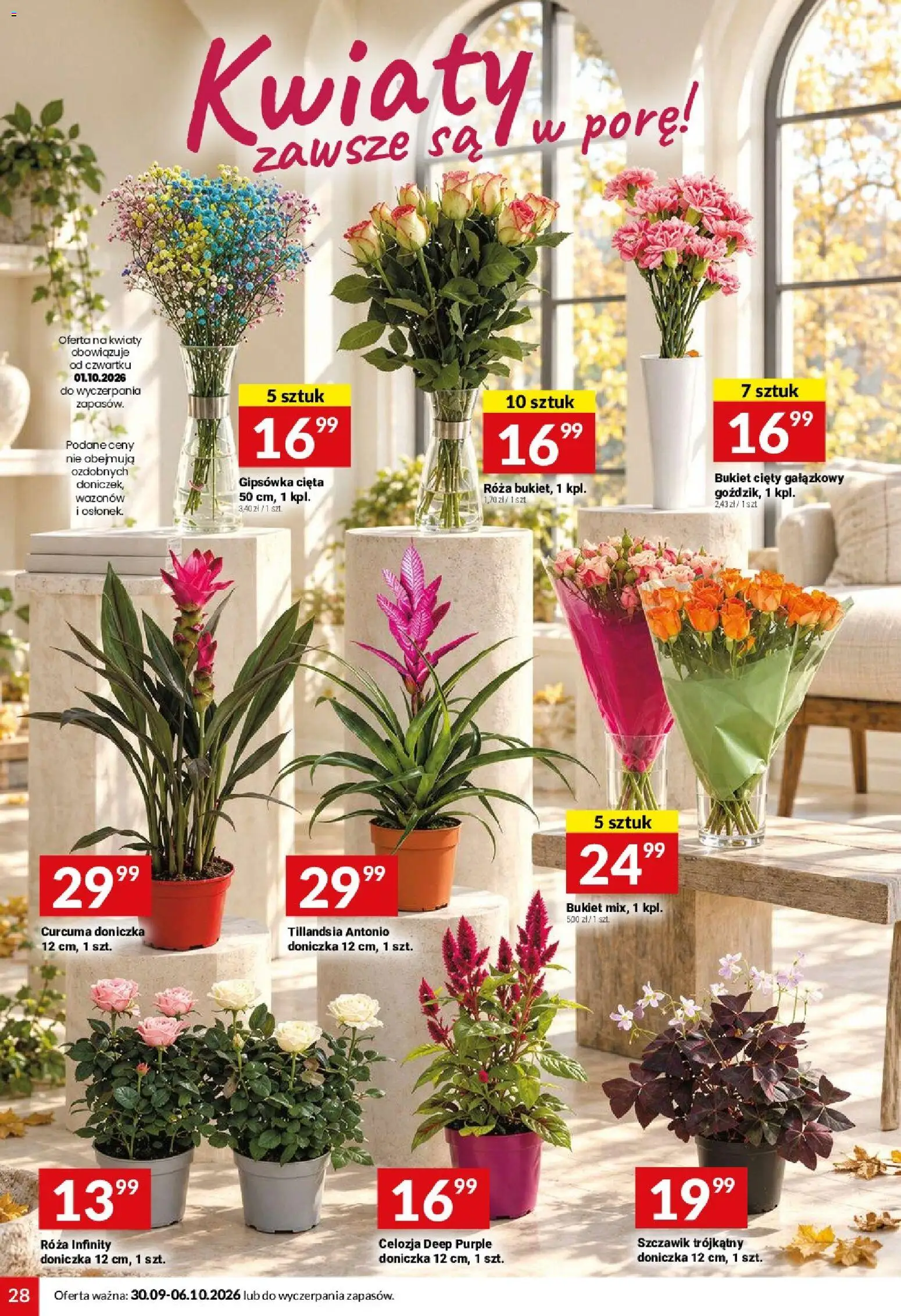 Twój Market gazetka Gazetka in Polska