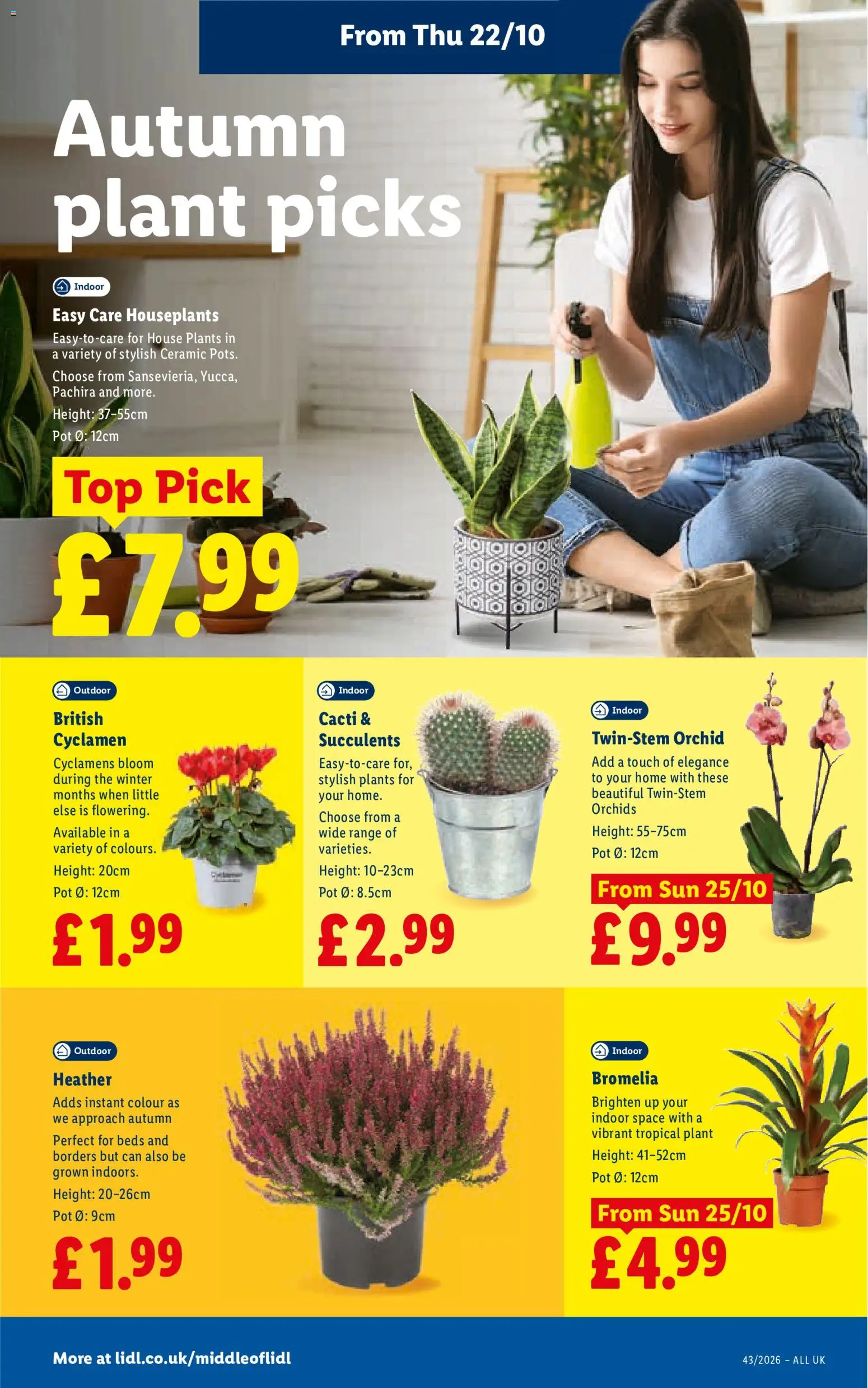 Weekly offers Lidl England Leaflet in United Kingdom