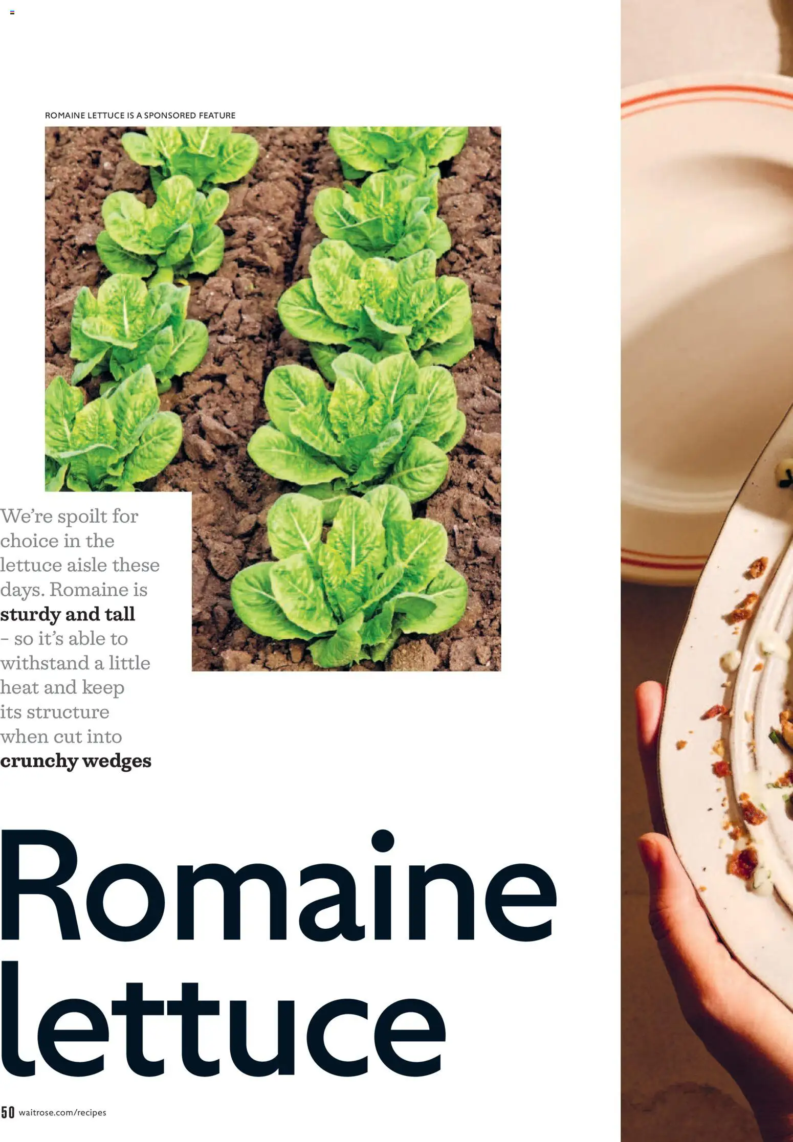 Do you know WHAT OFFERS await you at Waitrose? View the July flyer online! | United Kingdom