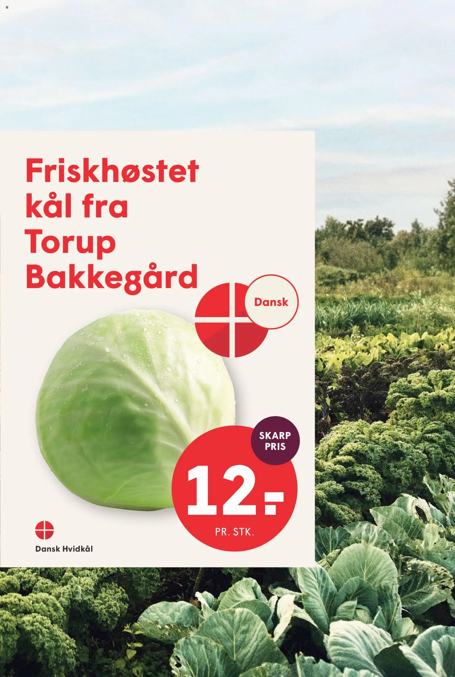 Spar - Tilbudsavis uge 41 Tilbudsavis in Danmark