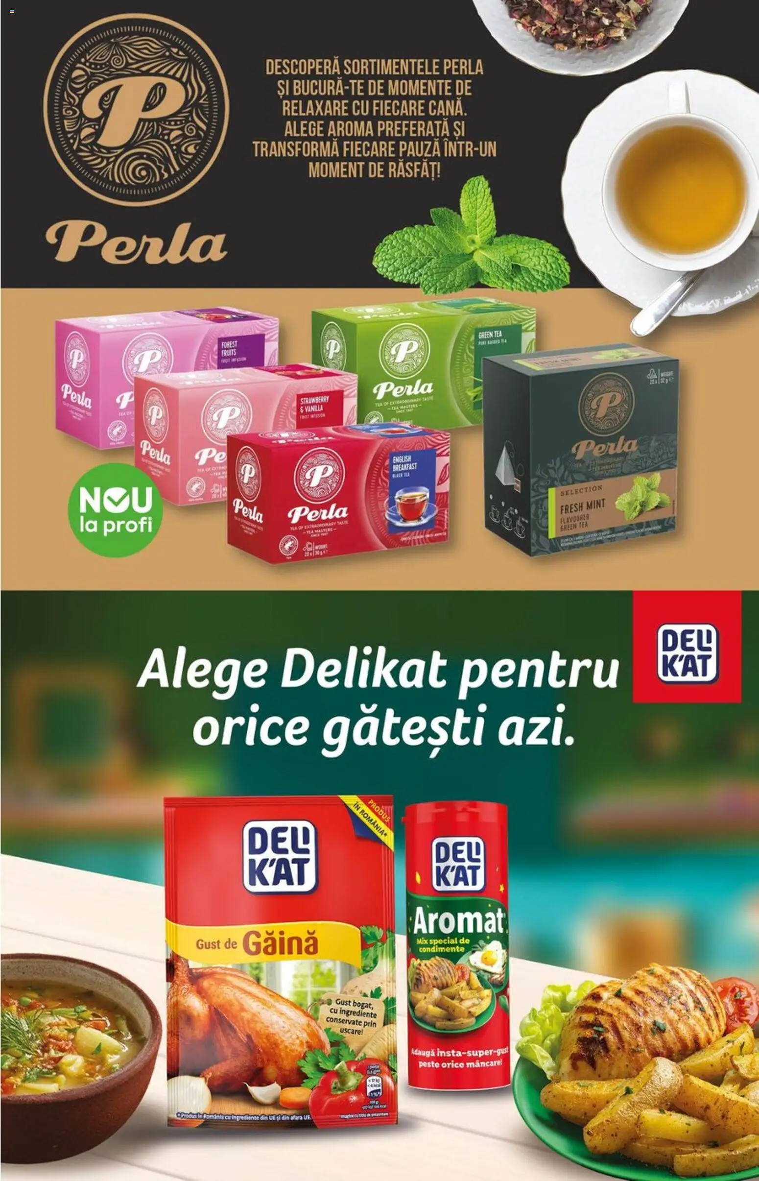 Profi Catalog Catalog in România