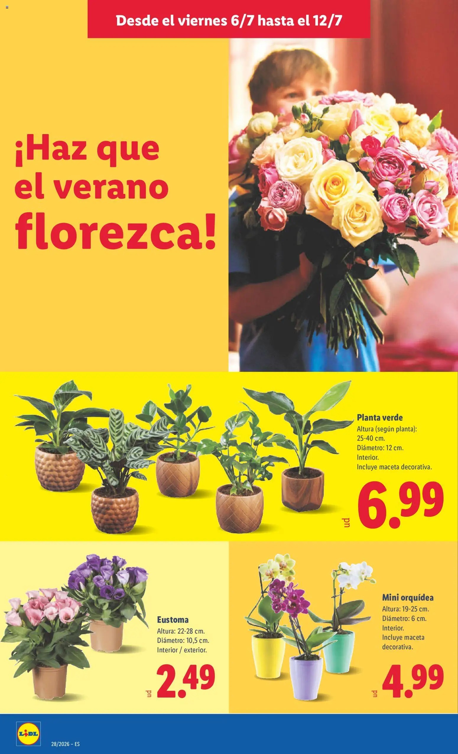 Lidl folleto desde 06/07/2026 | ¿Cómo obtener un descuento limitado? ¡Ahorra hoy mismo! | España