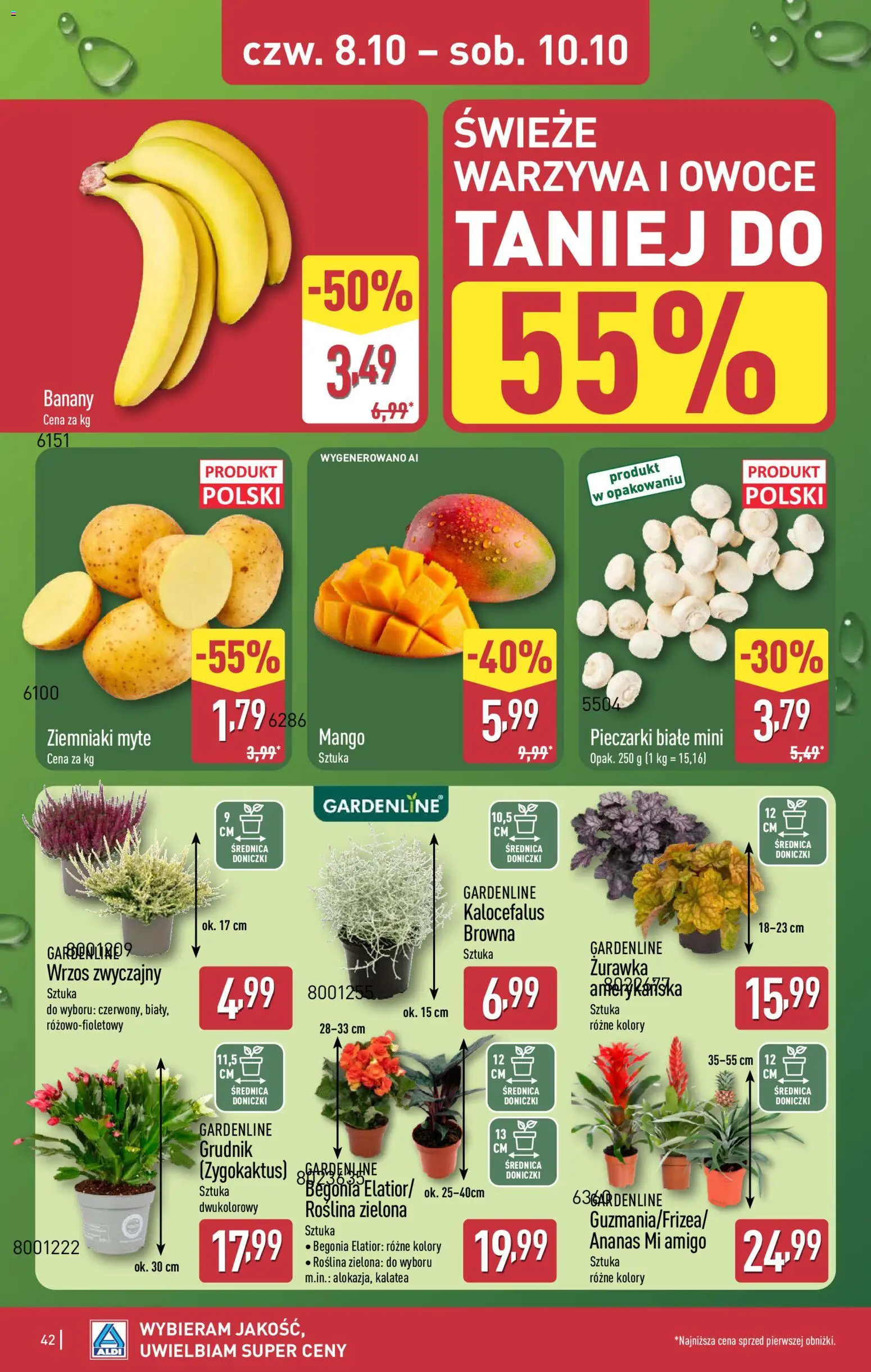 Aldi gazetka Gazetka in Polska