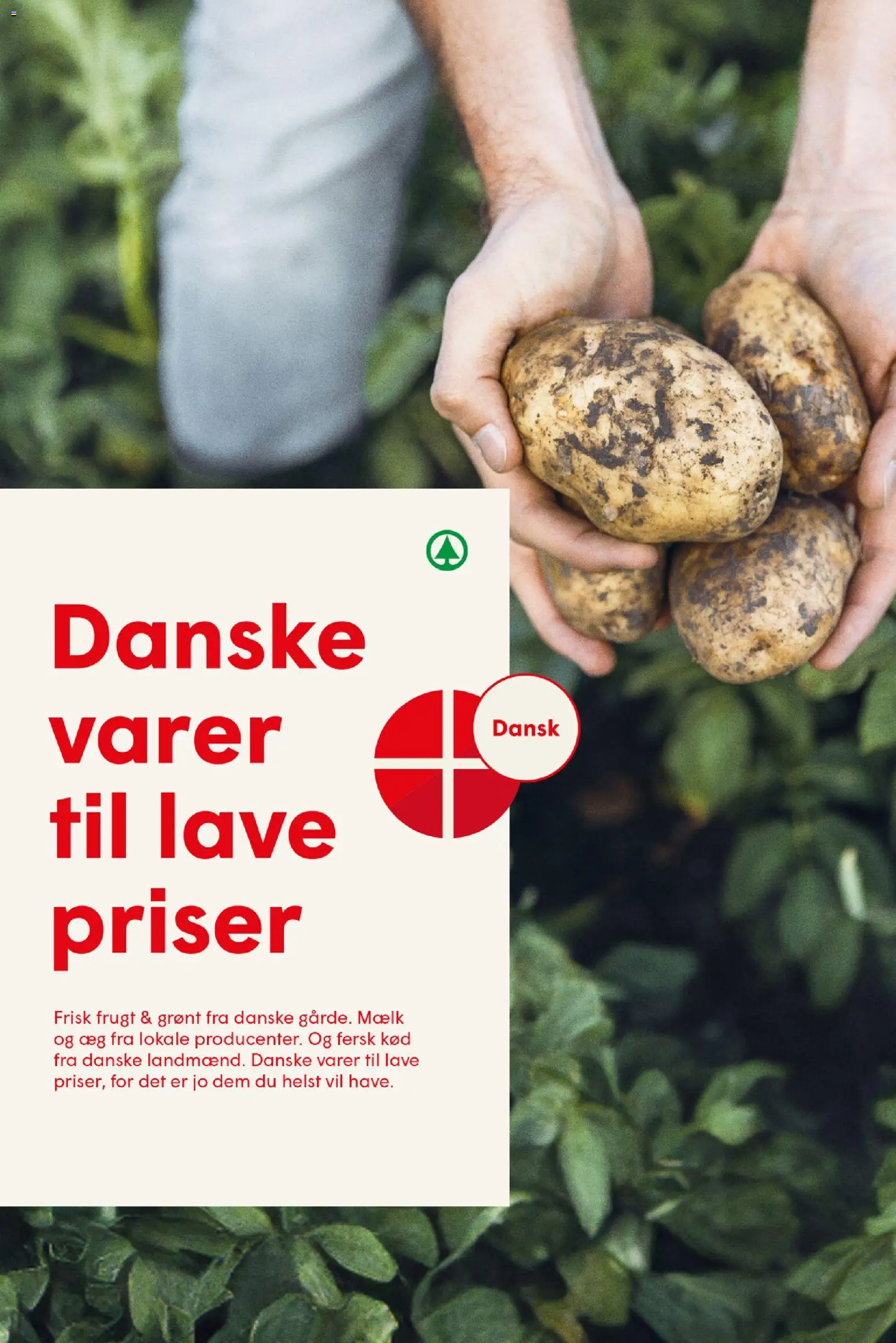 Spar - Tilbudsavis uge 41 Tilbudsavis in Danmark