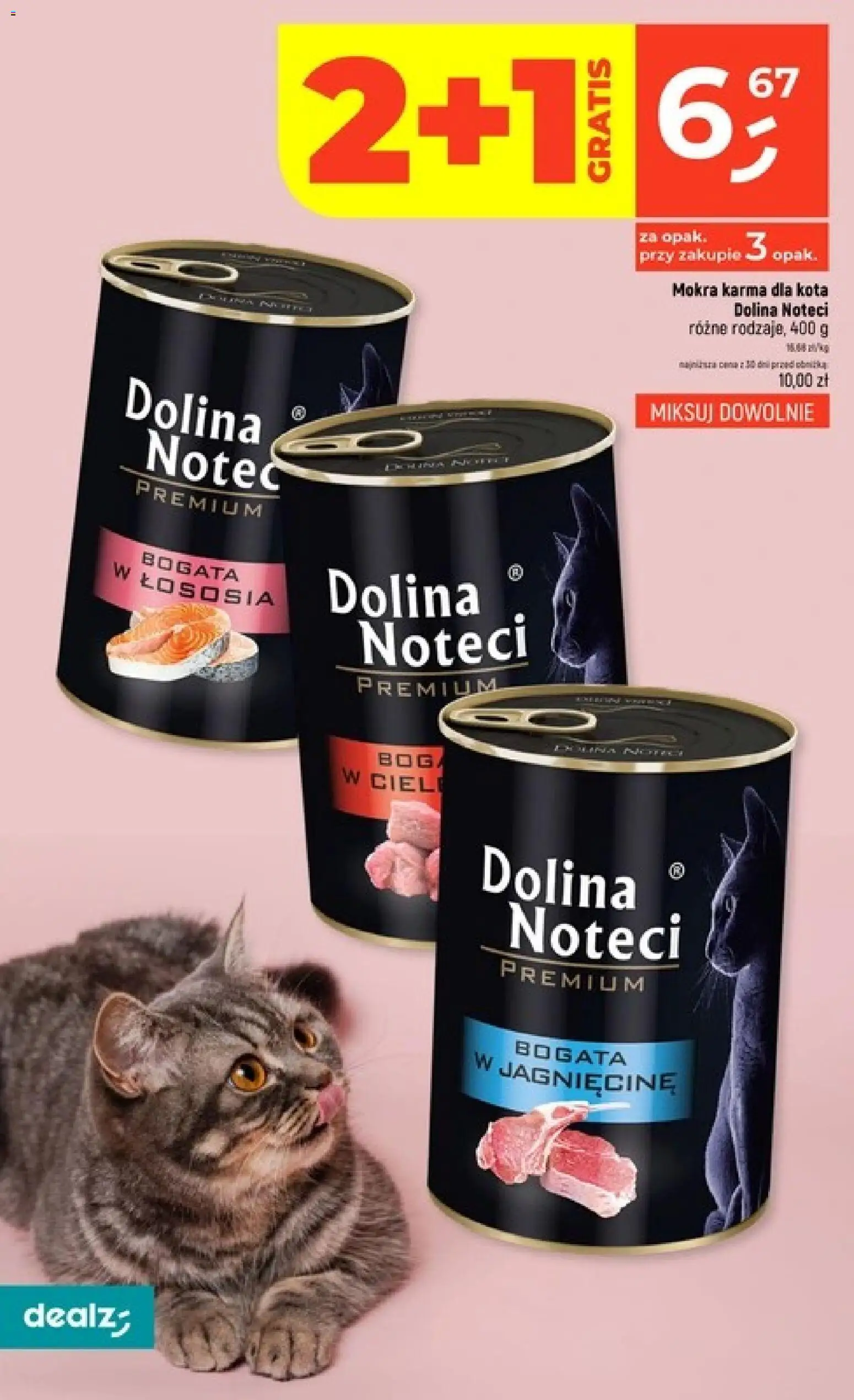 Dealz gazetka Gazetka in Polska