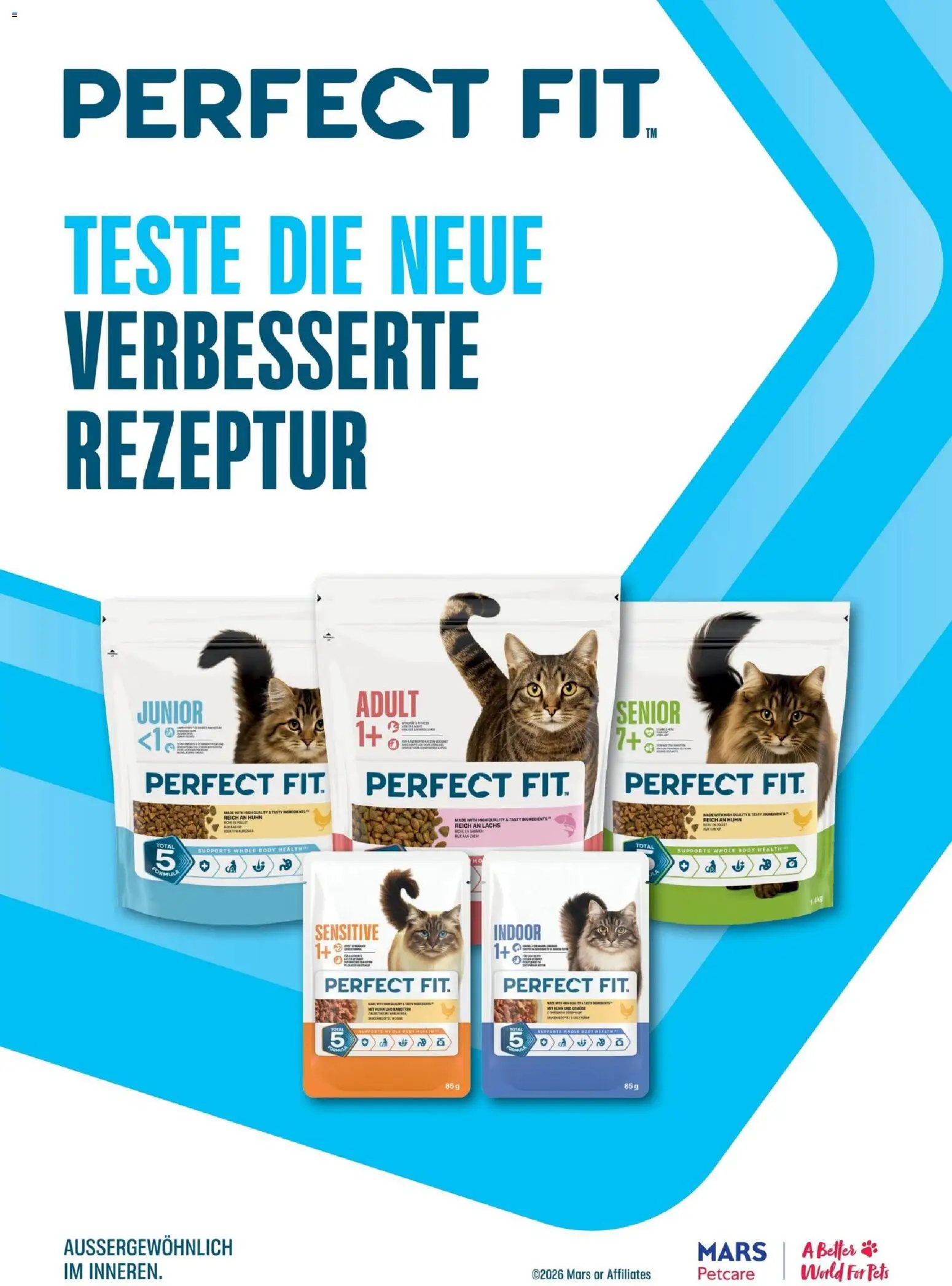 Dehner Prospekt Prospekt in Deutschland
