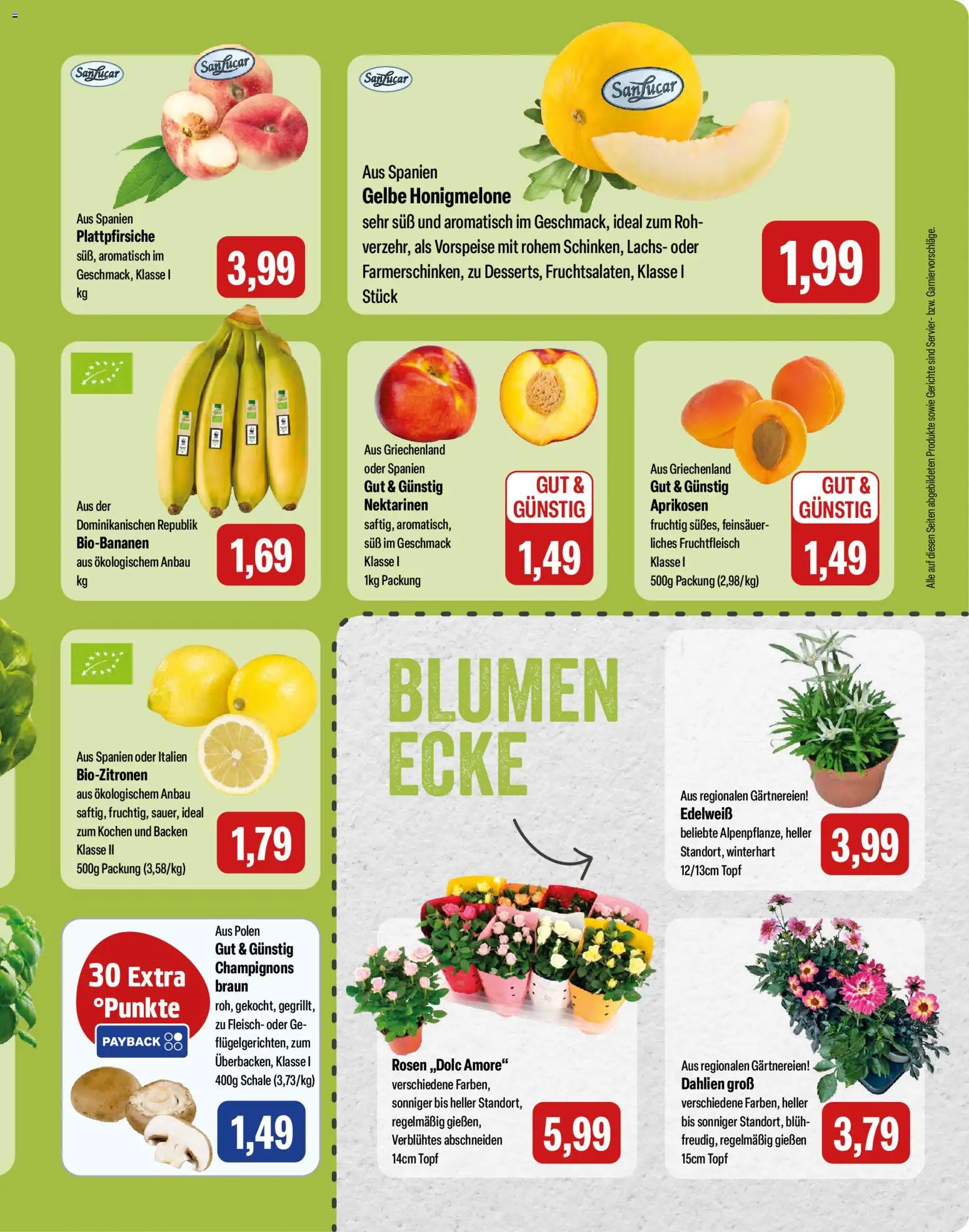 Feneberg Angebote | 16.07.2026 | Wie erhält man einen begrenzten Rabatt? | Deutschland
