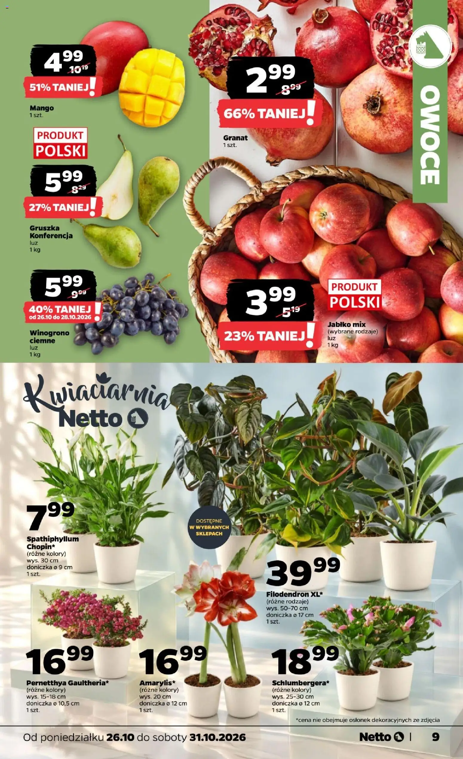 Netto gazetka od poniedziałku Gazetka in Polska