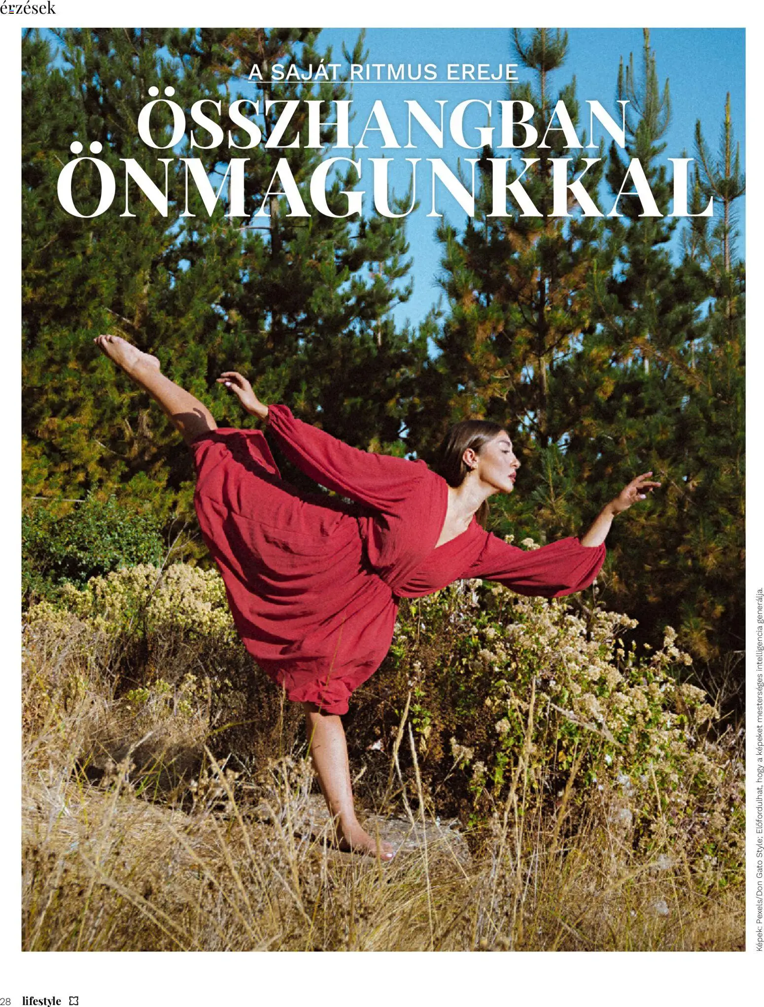 Müller Lifestyle magazin Akciós újság in Magyarország