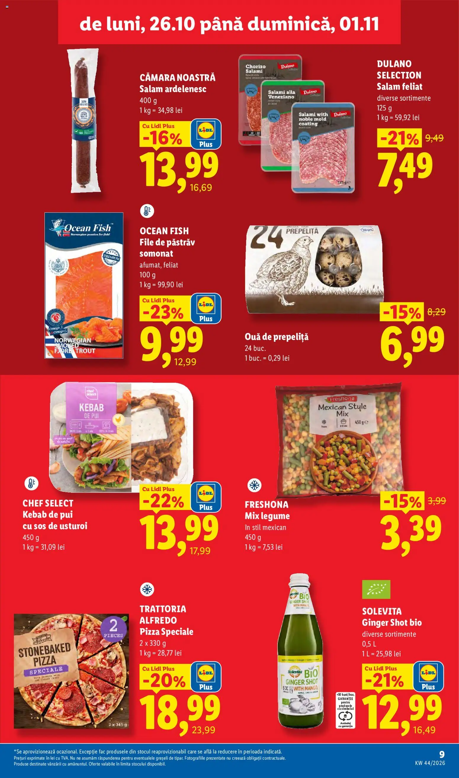 Lidl Catalog Catalog in România