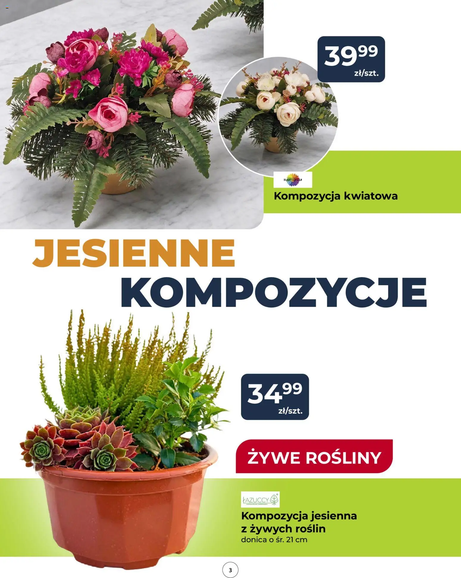 Mrówka gazetka Gazetka in Polska