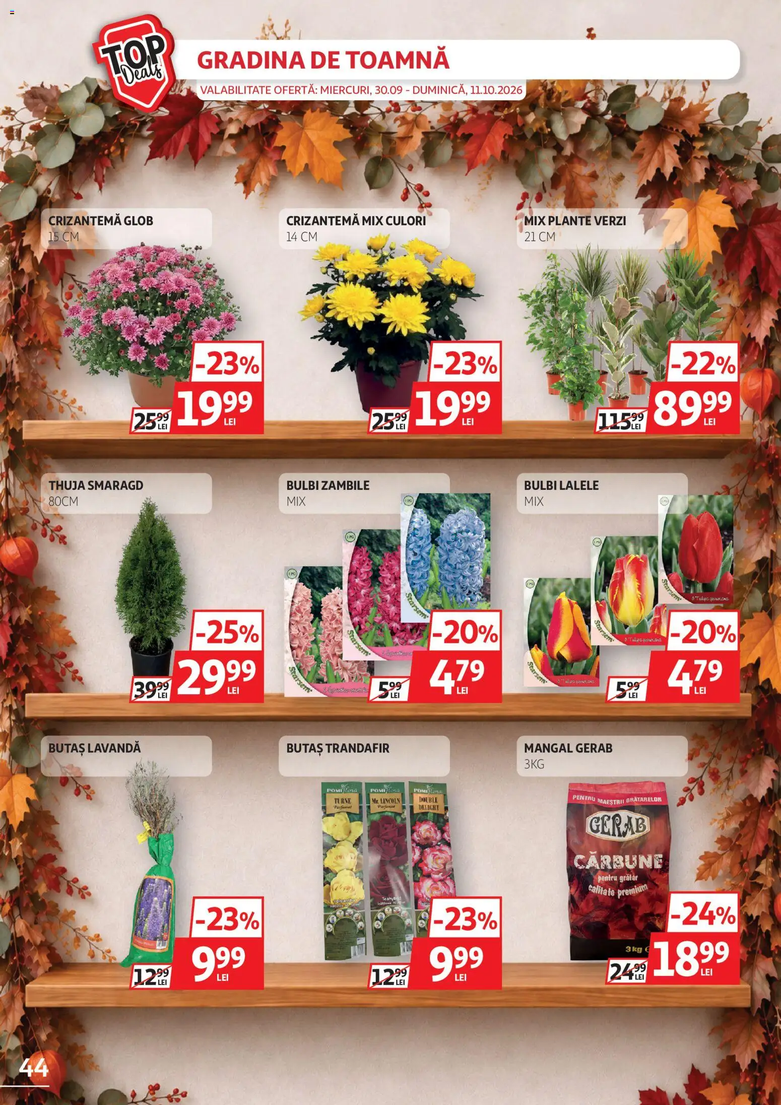 Auchan Catalog Catalog in România