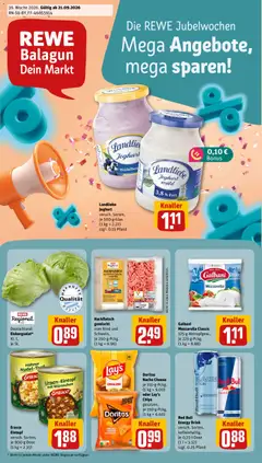 Rewe DE Rewe DE folder