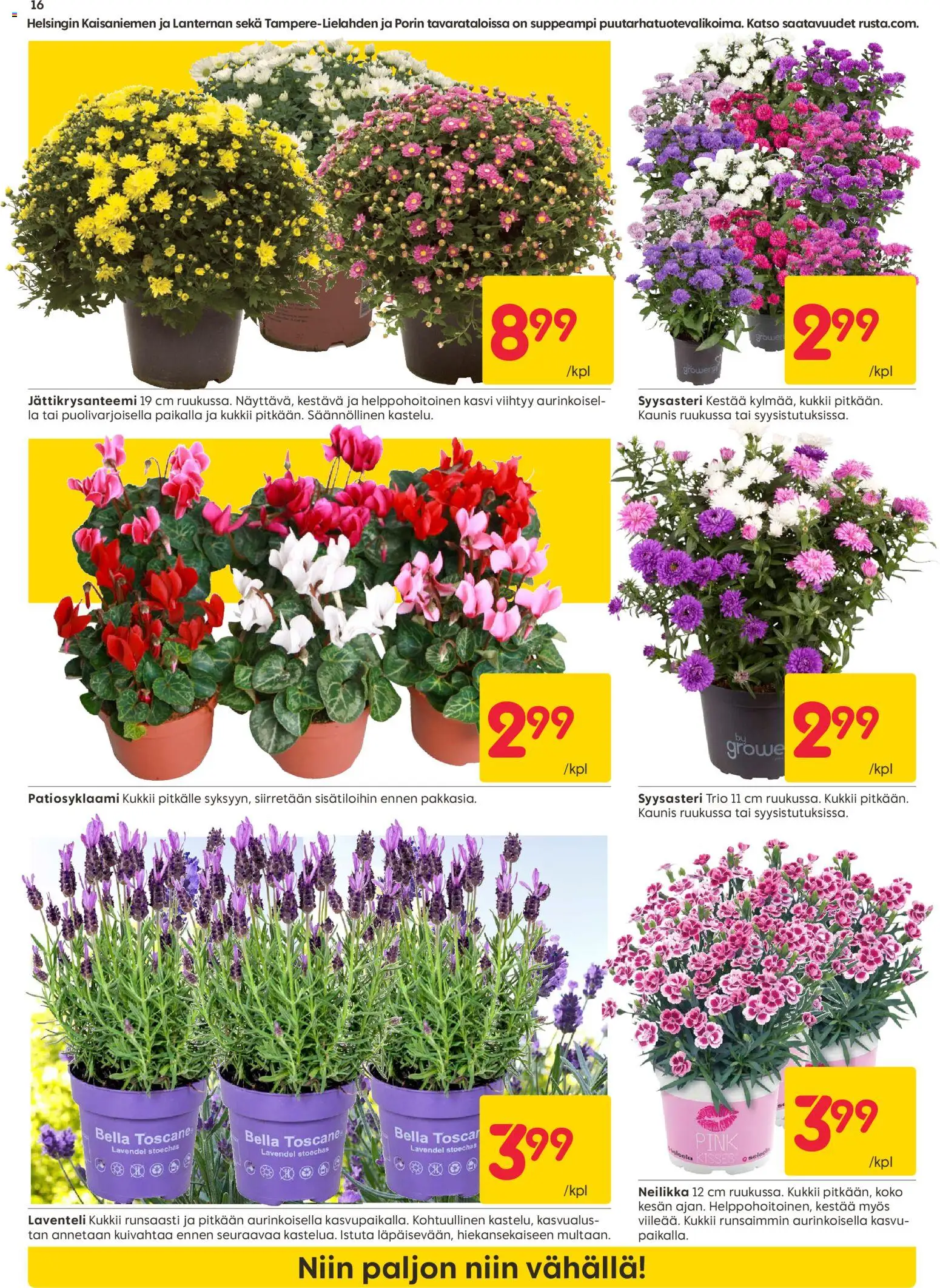 🛍️ Rusta tarjoukset alkaen 06/07/2026 » Katso huipputarjoukset ja säästä jo tänään! 💰 | Suomi