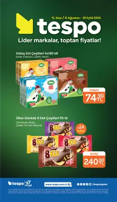 Tespo Katalog Aktüel Broşür ve Katalogları