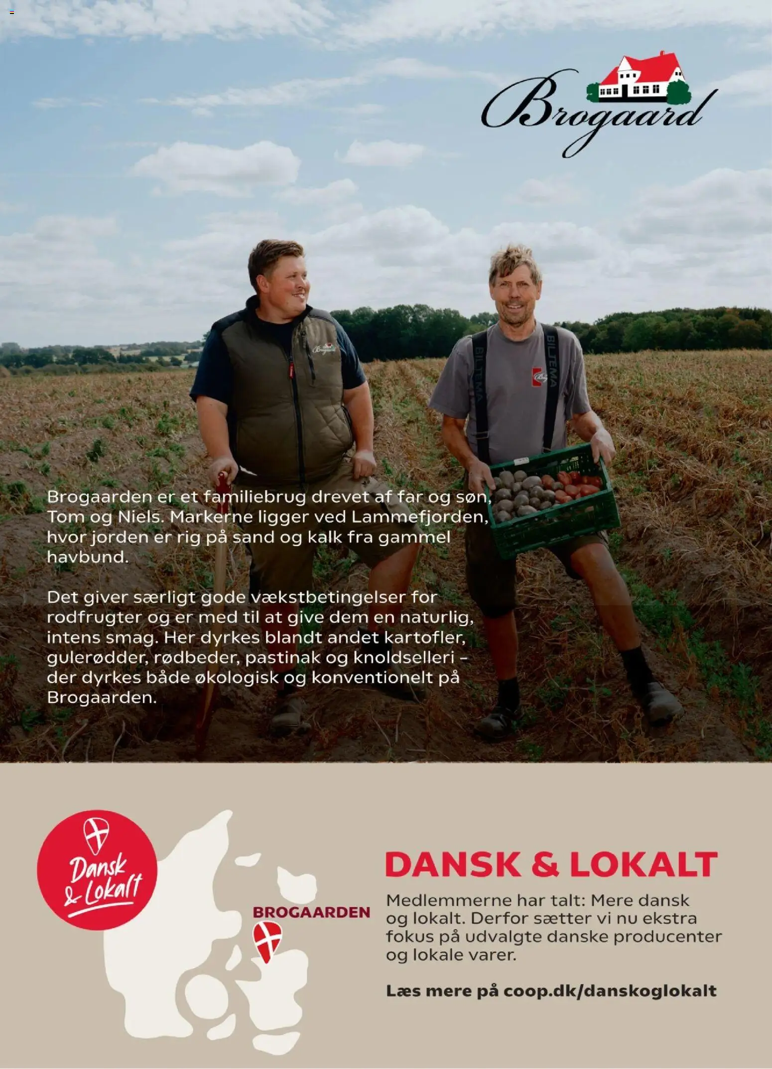 Super Brugsen - Tilbudsavis uge 43 Tilbudsavis in Danmark