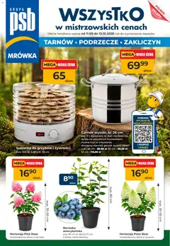 Mrówka Mrówka gazetka - Tarnów