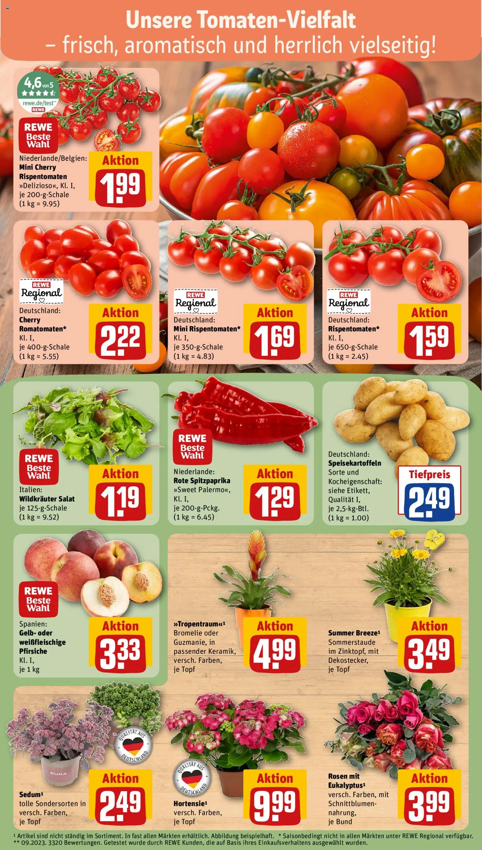 Rewe ihr Kaufpark Prospekt | 13.07.2026 | Wie erhält man einen begrenzten Rabatt? | Deutschland