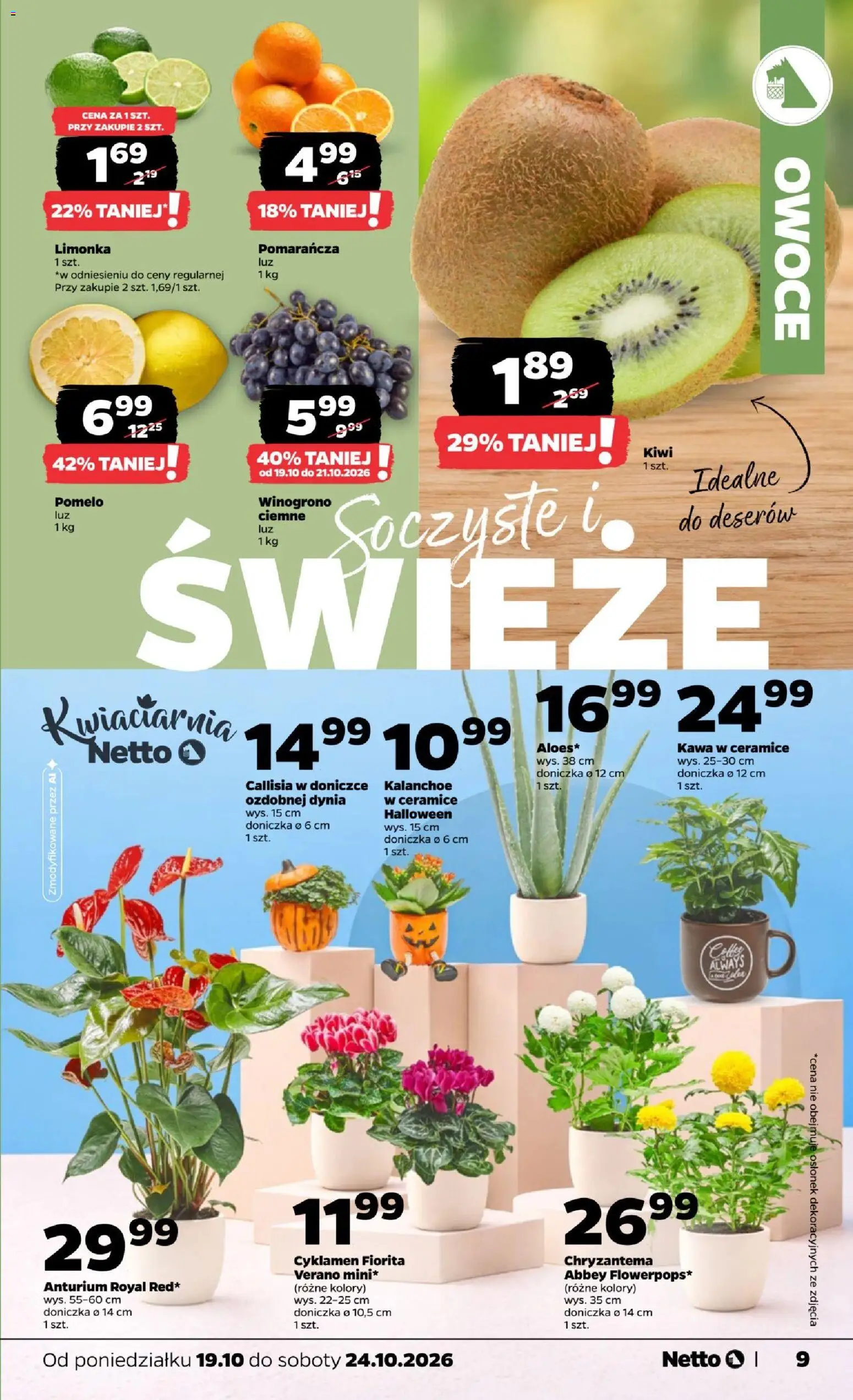 Netto gazetka od poniedziałku Gazetka in Polska