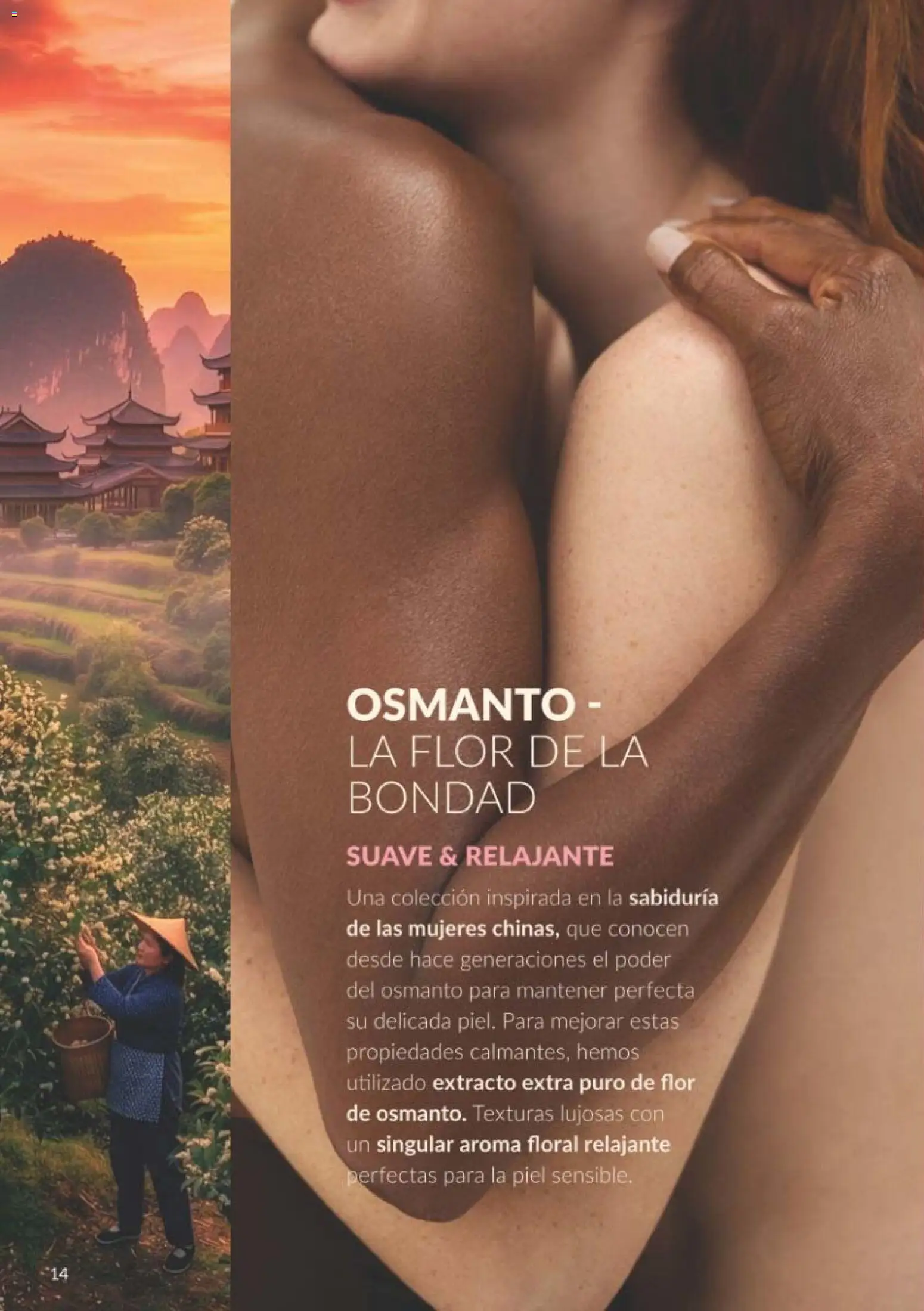 Catálogo AVON campaña 10 Folleto in España