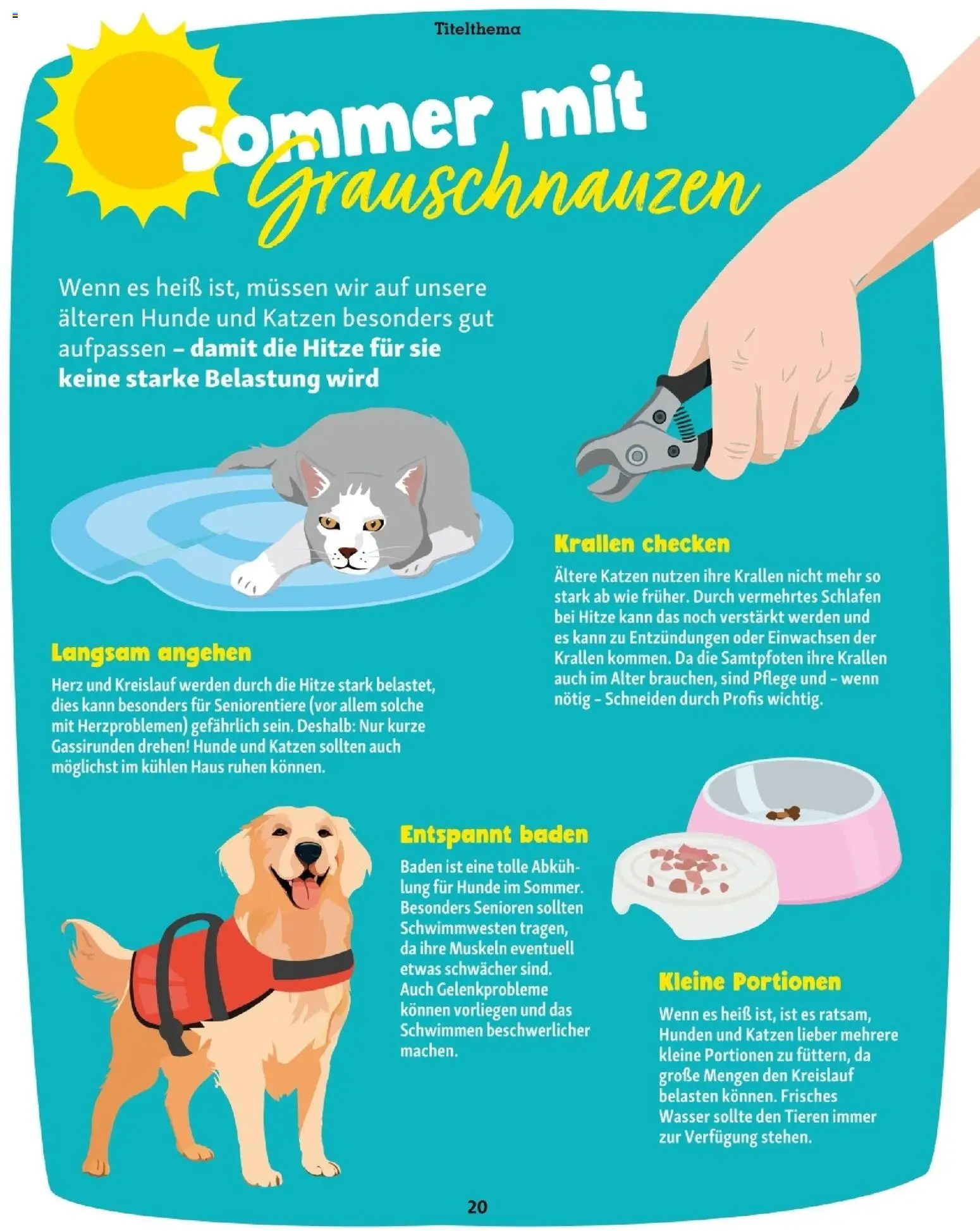 Die besten Angebote | Fressnapf Friends 07,08/26 ab 01.07.2026 | - Jetzt stöbern! | Österreich